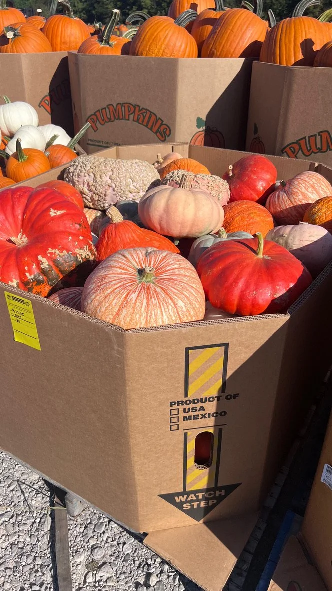 pumpkin auction 1.jpeg