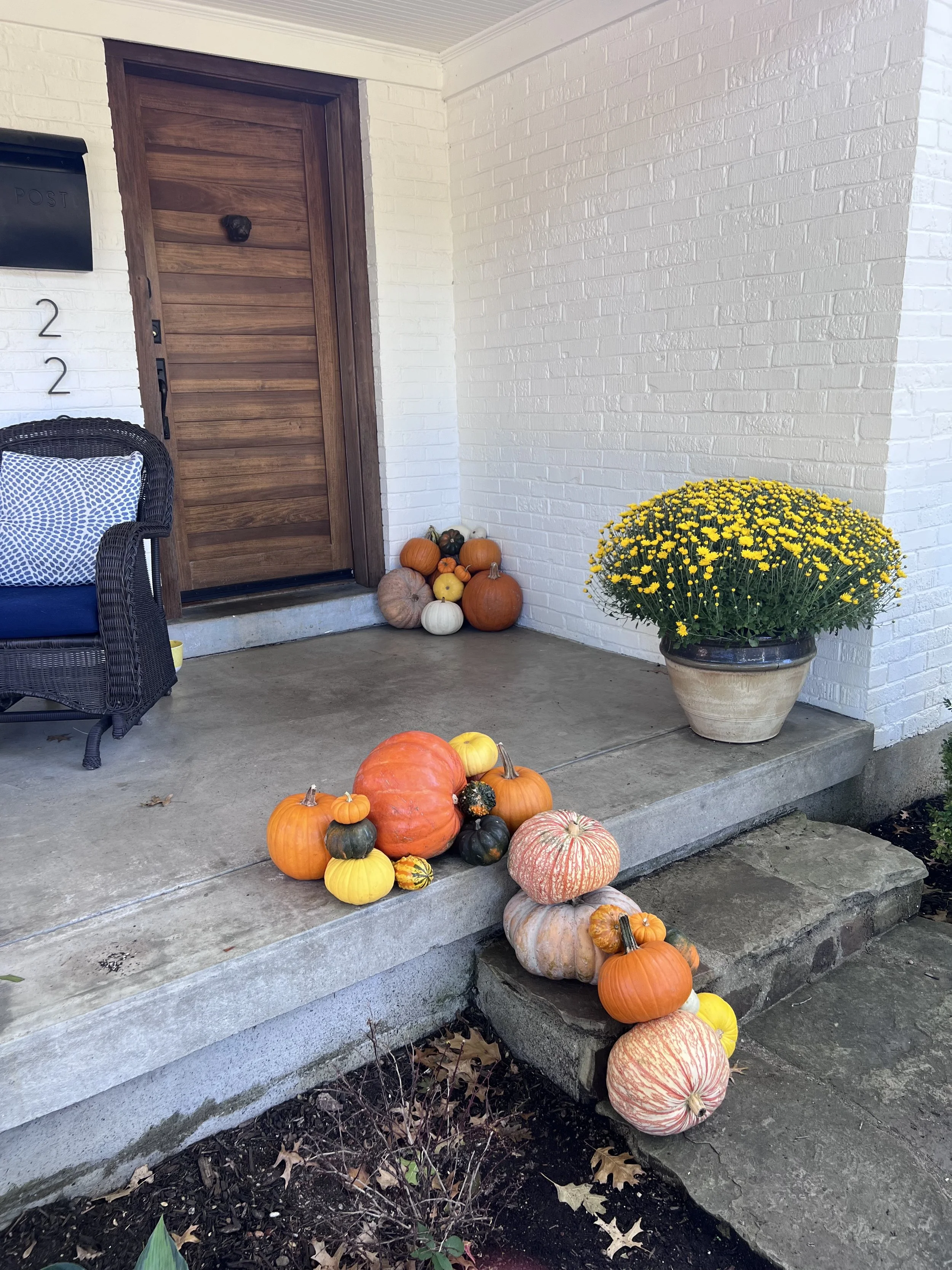 IMG_0304.jpeg