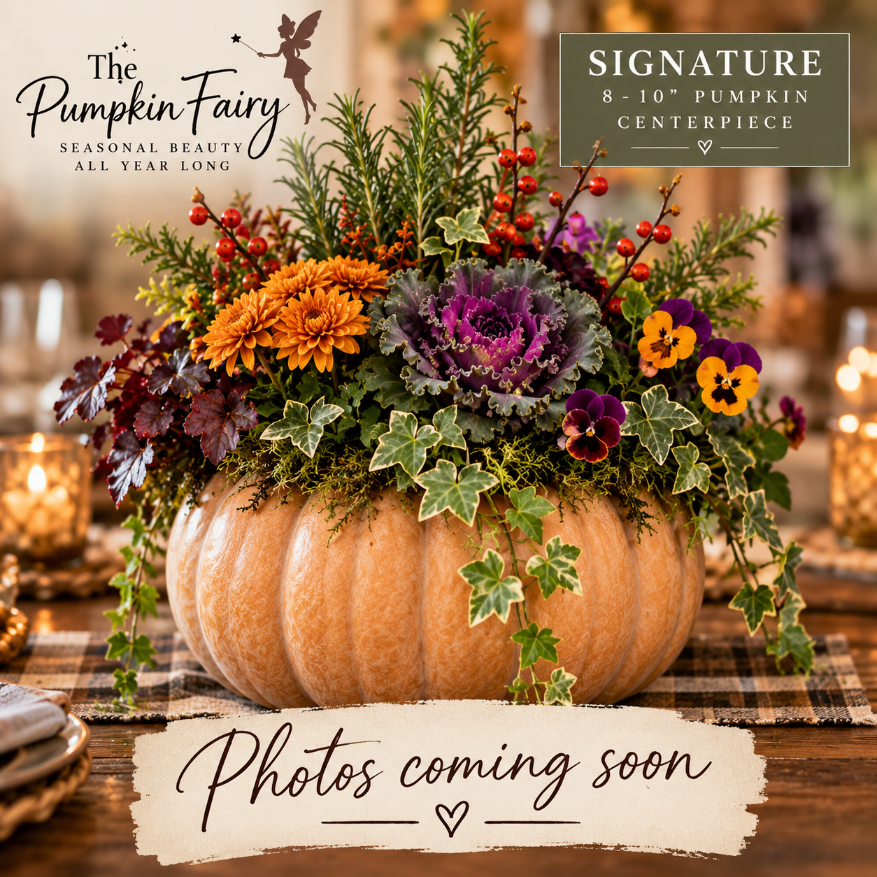Thanksgiving Pumpkin Centerpieces-Real Plants, Kentucky Grown