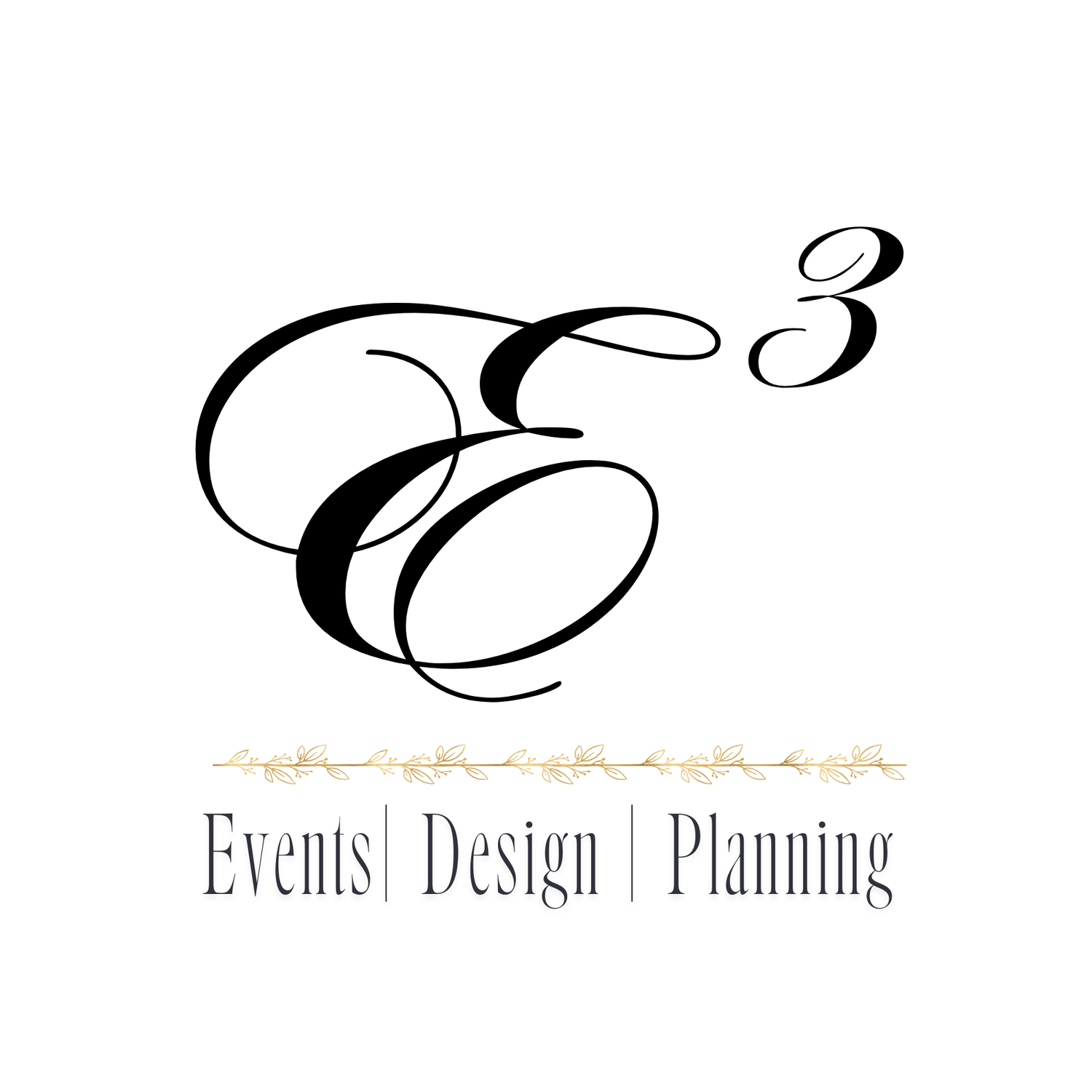 Elegantly Engineered by Erin