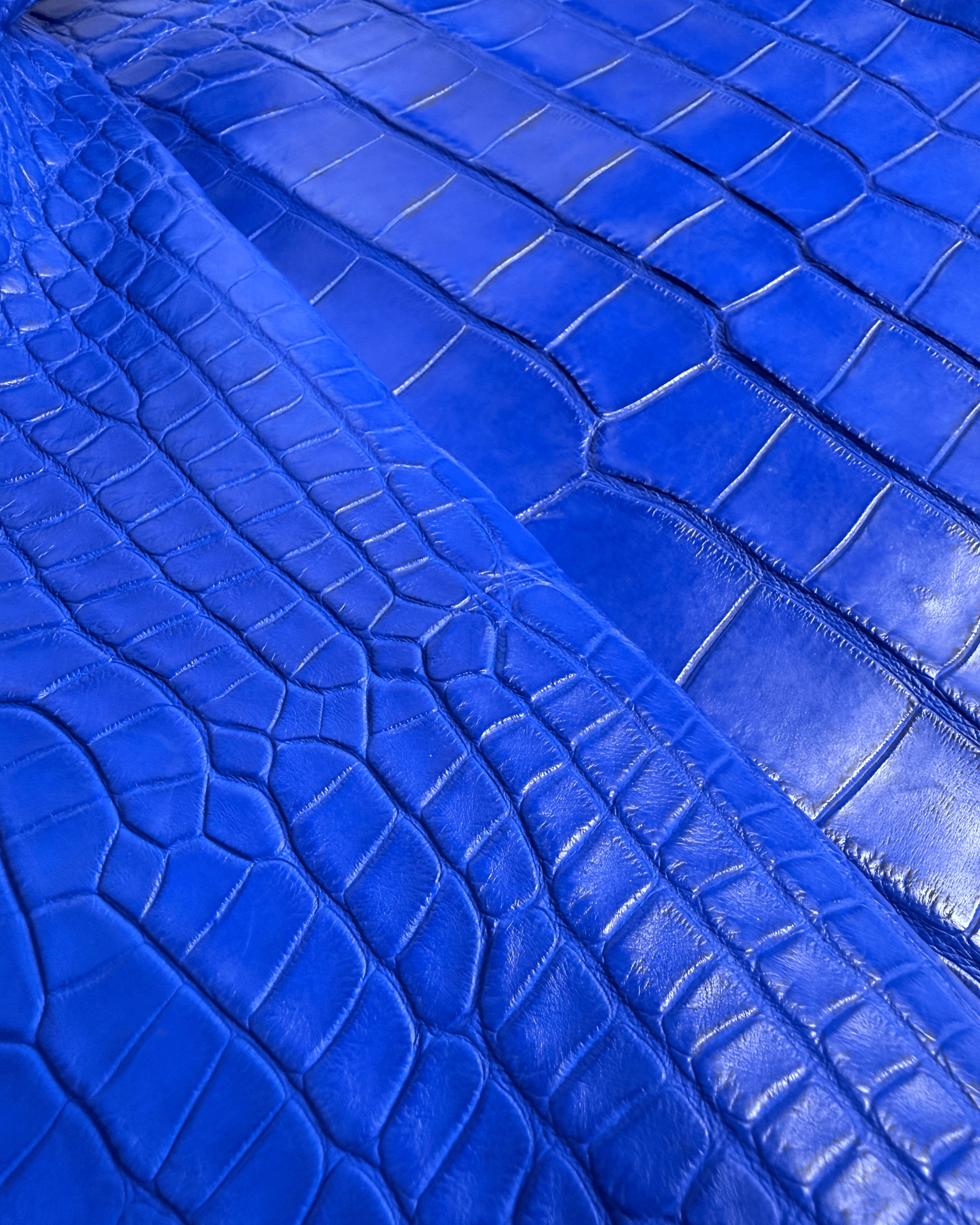 royal blue 2.png