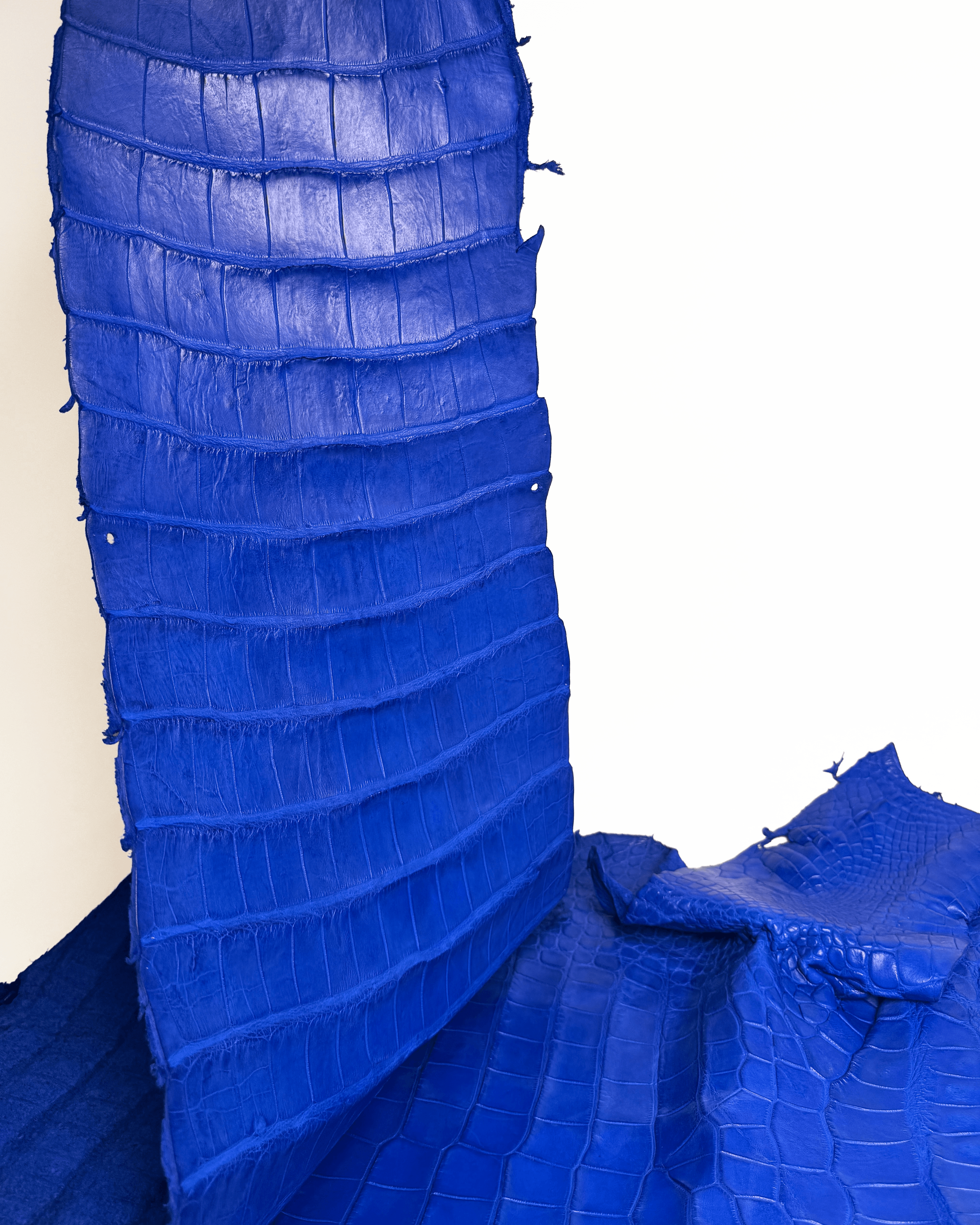 royal blue 3.png