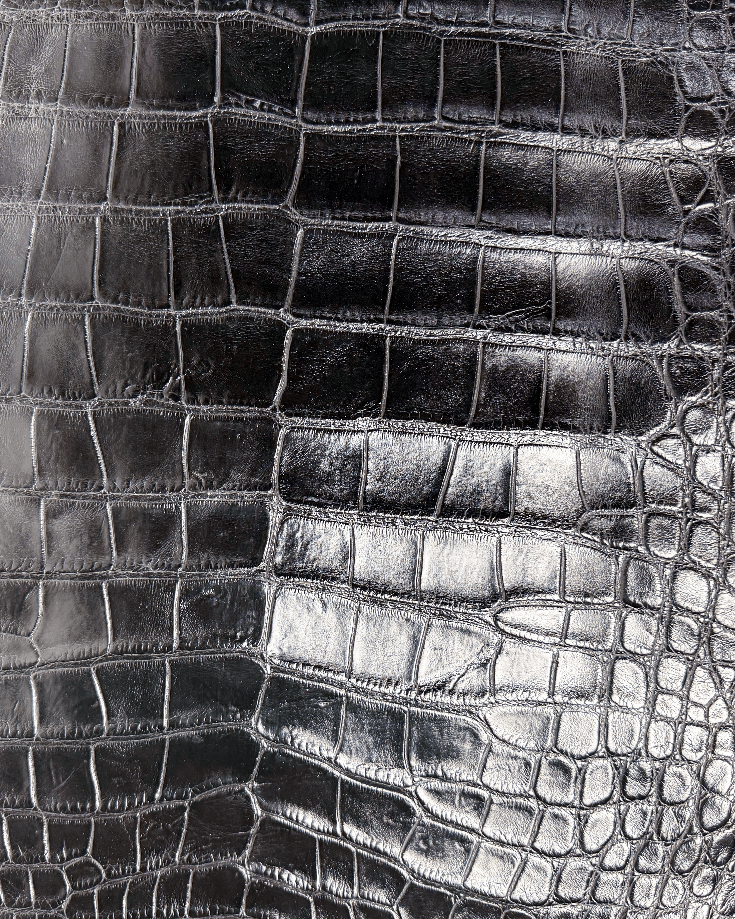 Black | Alligator Skin