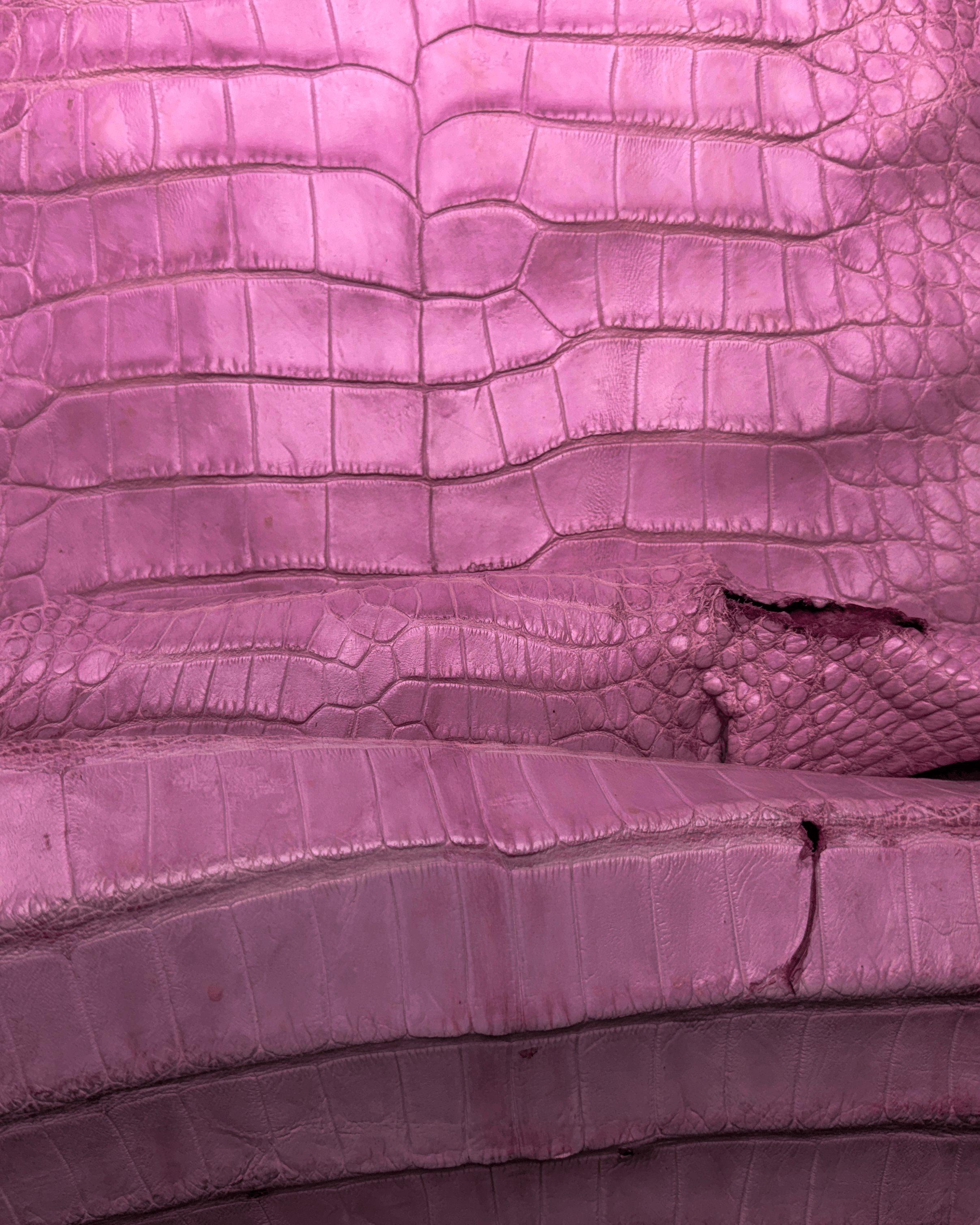 pink 2.png
