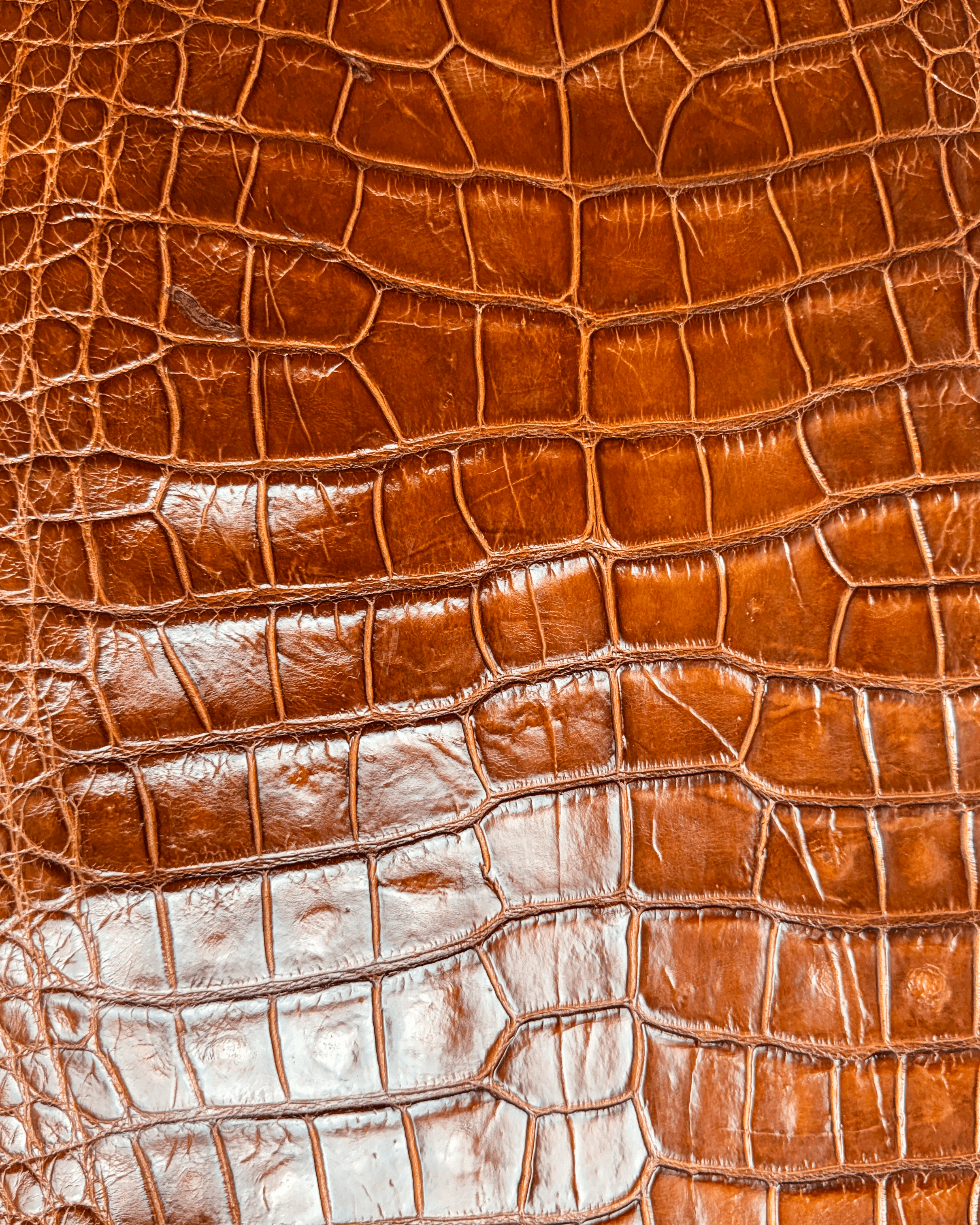 cognac 1.png