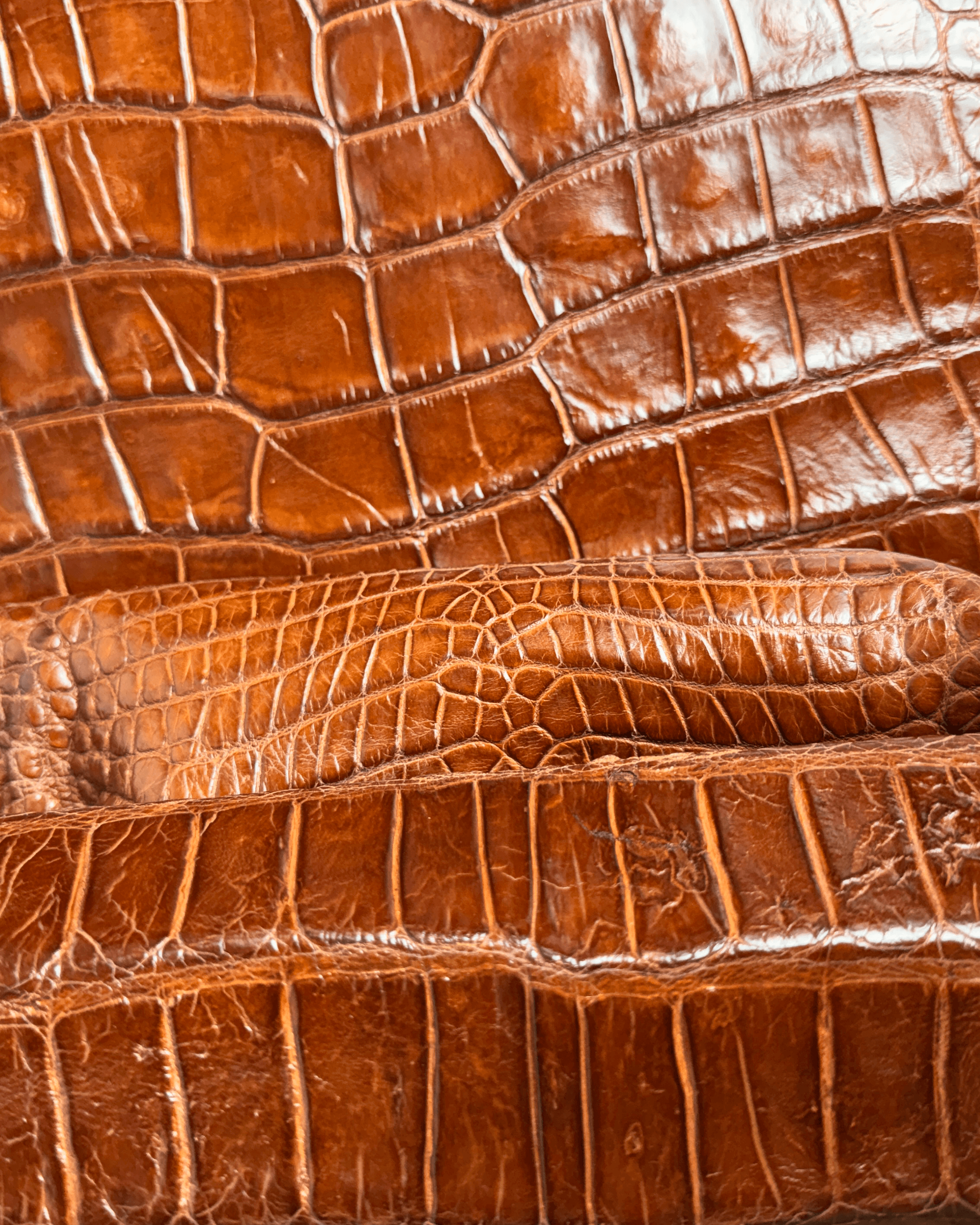 cognac 2.png