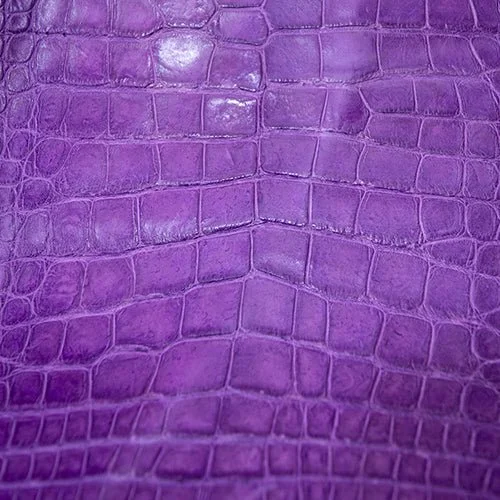 Alligator_Skins-7500.jpg