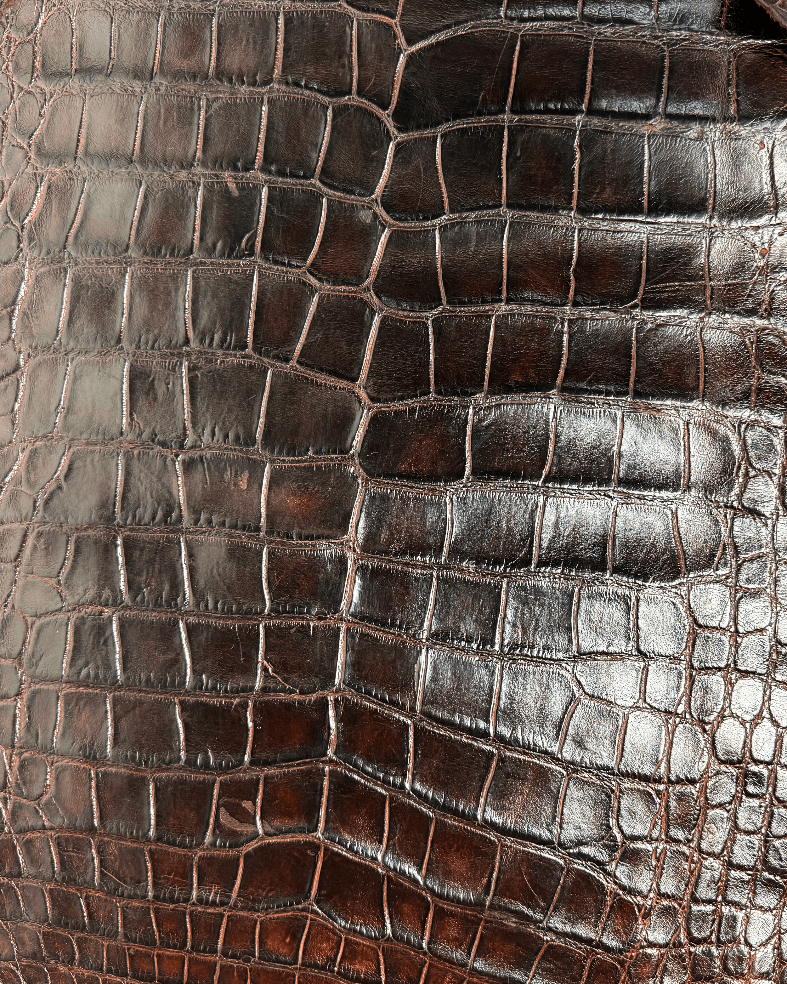 Sports Rust | Alligator Skin