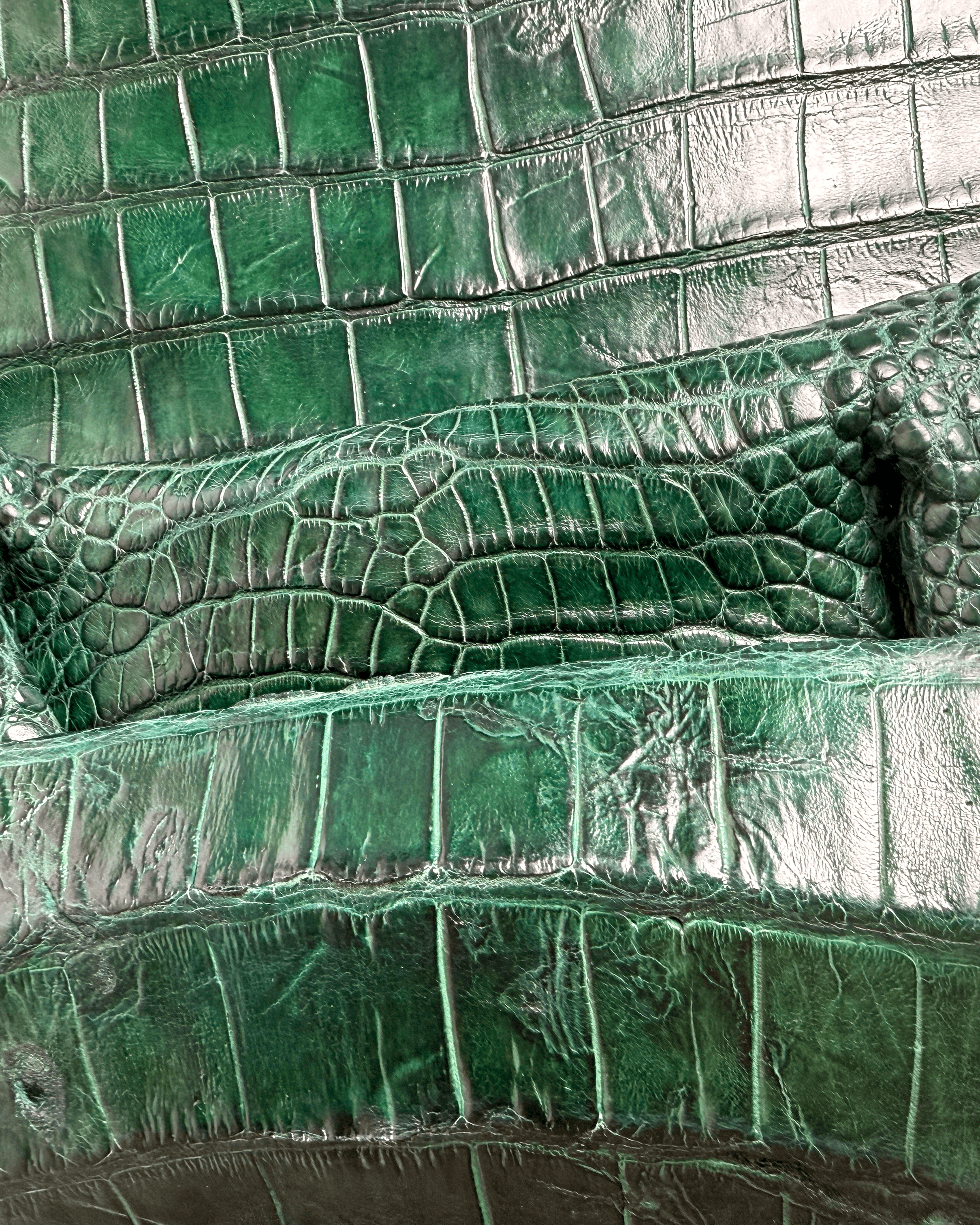 forest green 2.png
