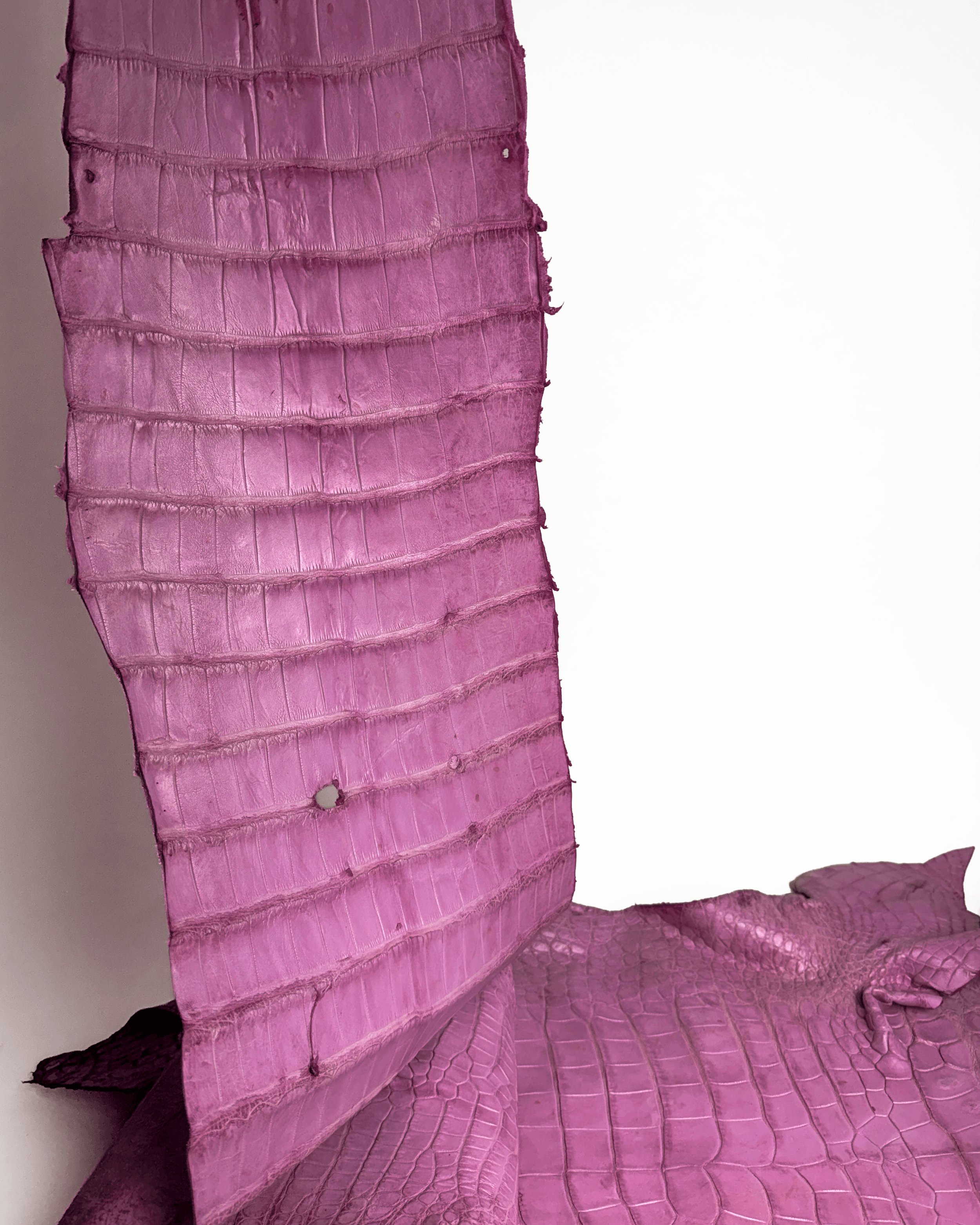 pink 3.png