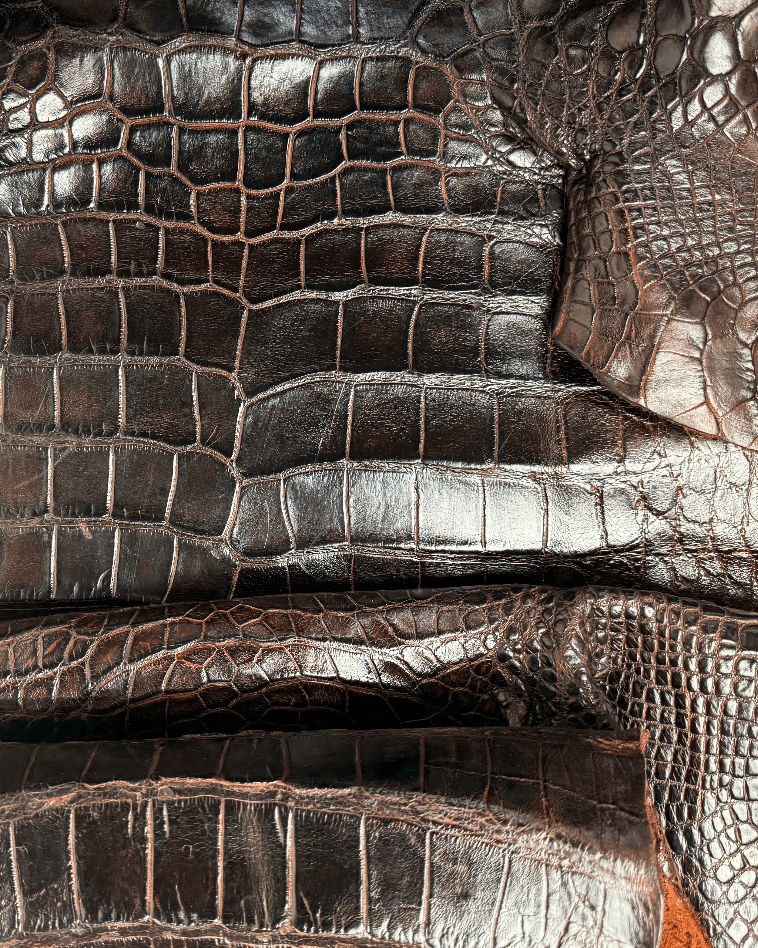 sports rust alligator 3.png