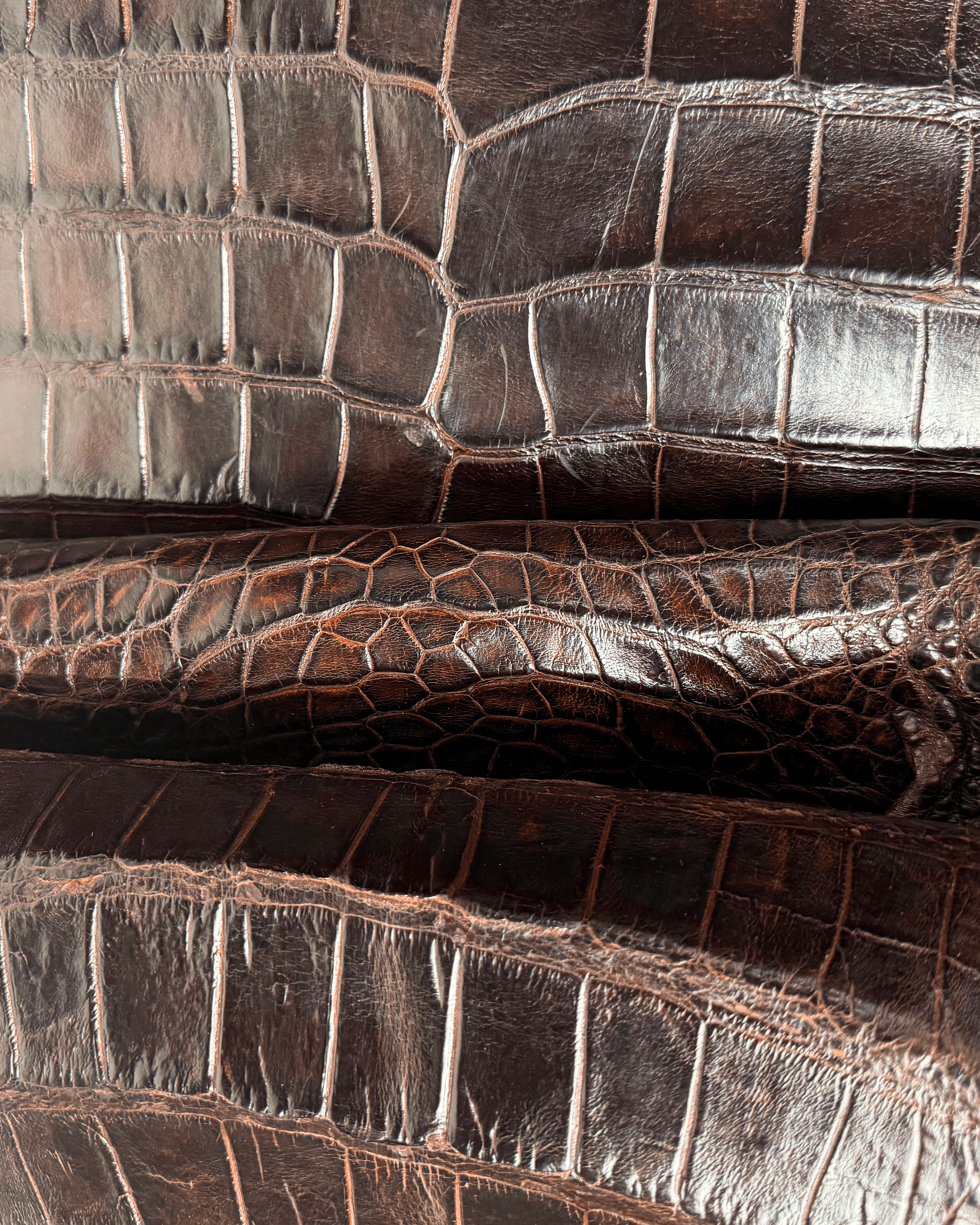 sports rust alligator 2.png