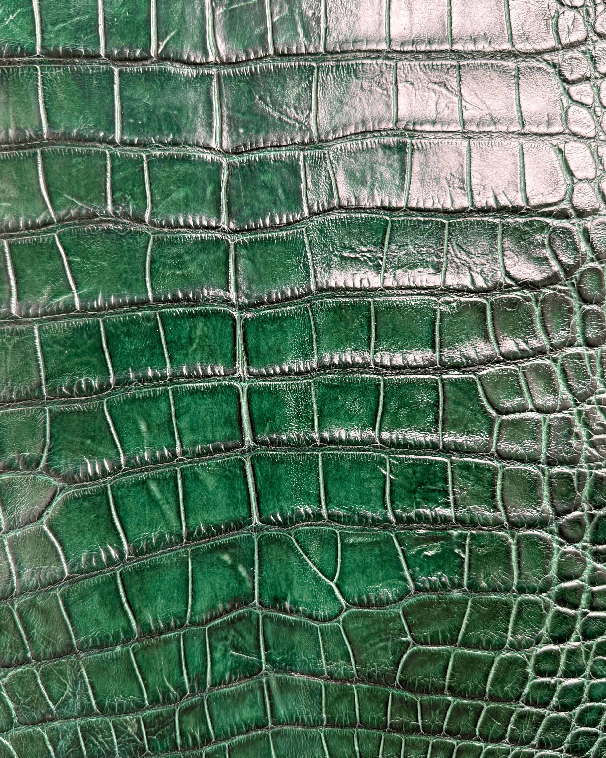 Forest Green | Alligator Skin
