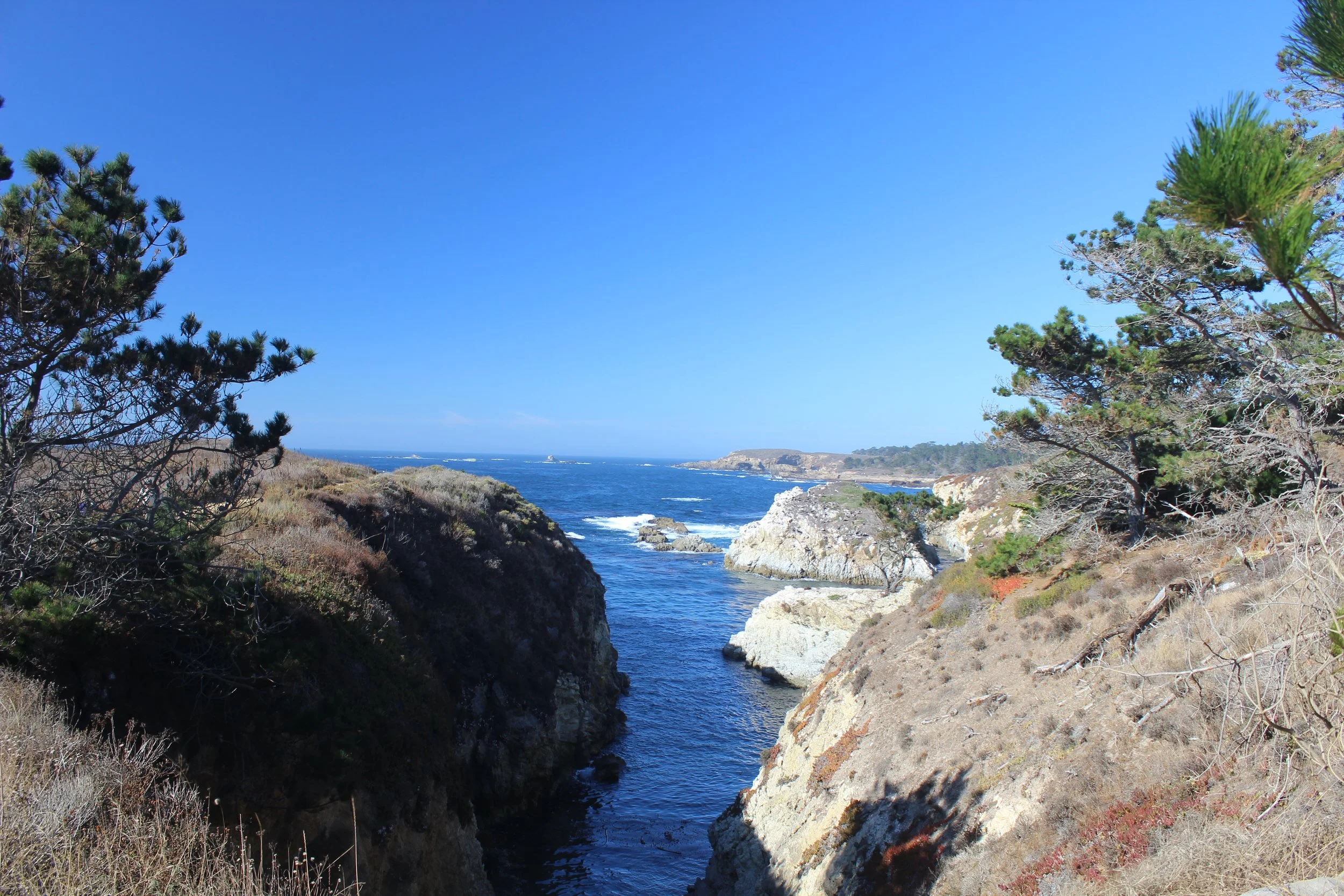 Coastal scene with rocky cliffs and trees overlooking the ocean on a clear, sunny day.