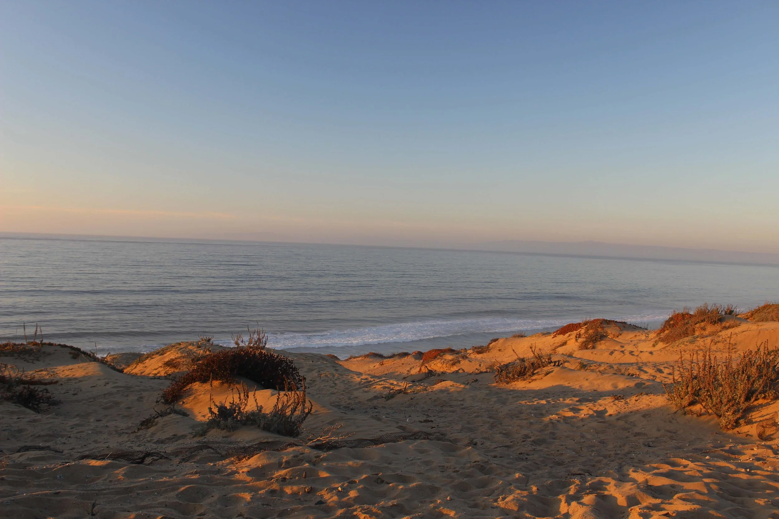 Beach with sand dunes and sparse bushes in the foreground, calm ocean water in the middle ground, and a clear blue sky above, possibly at sunset.