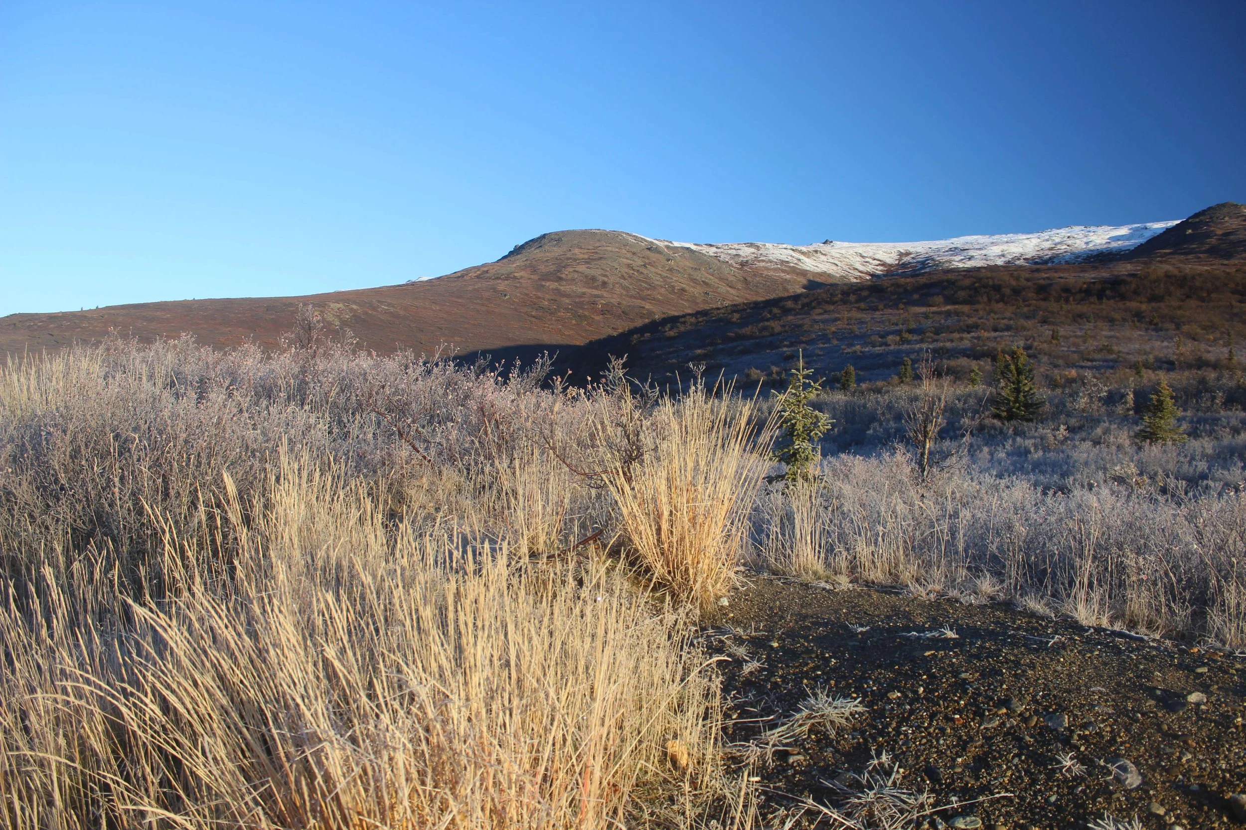 Mountain landscape with patches of snow on the peak, dry grasses in the foreground, and a clear blue sky.