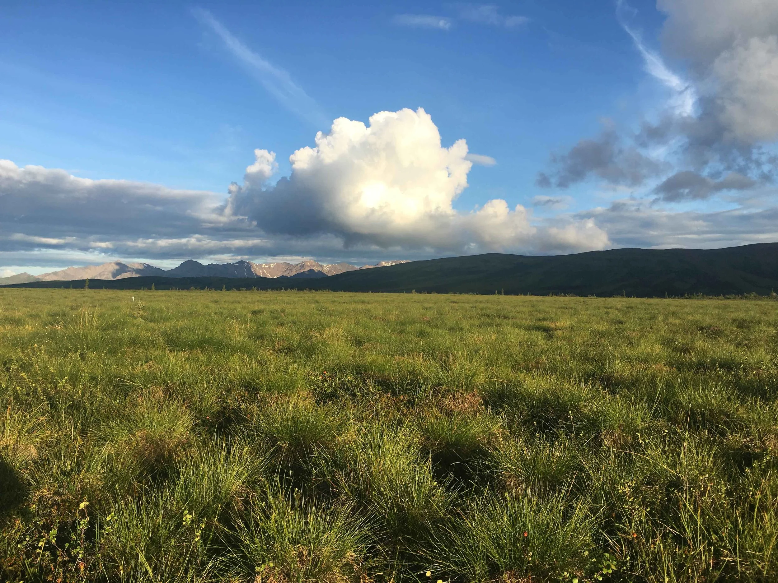 A vast green field with mountains in the background and a partly cloudy sky.