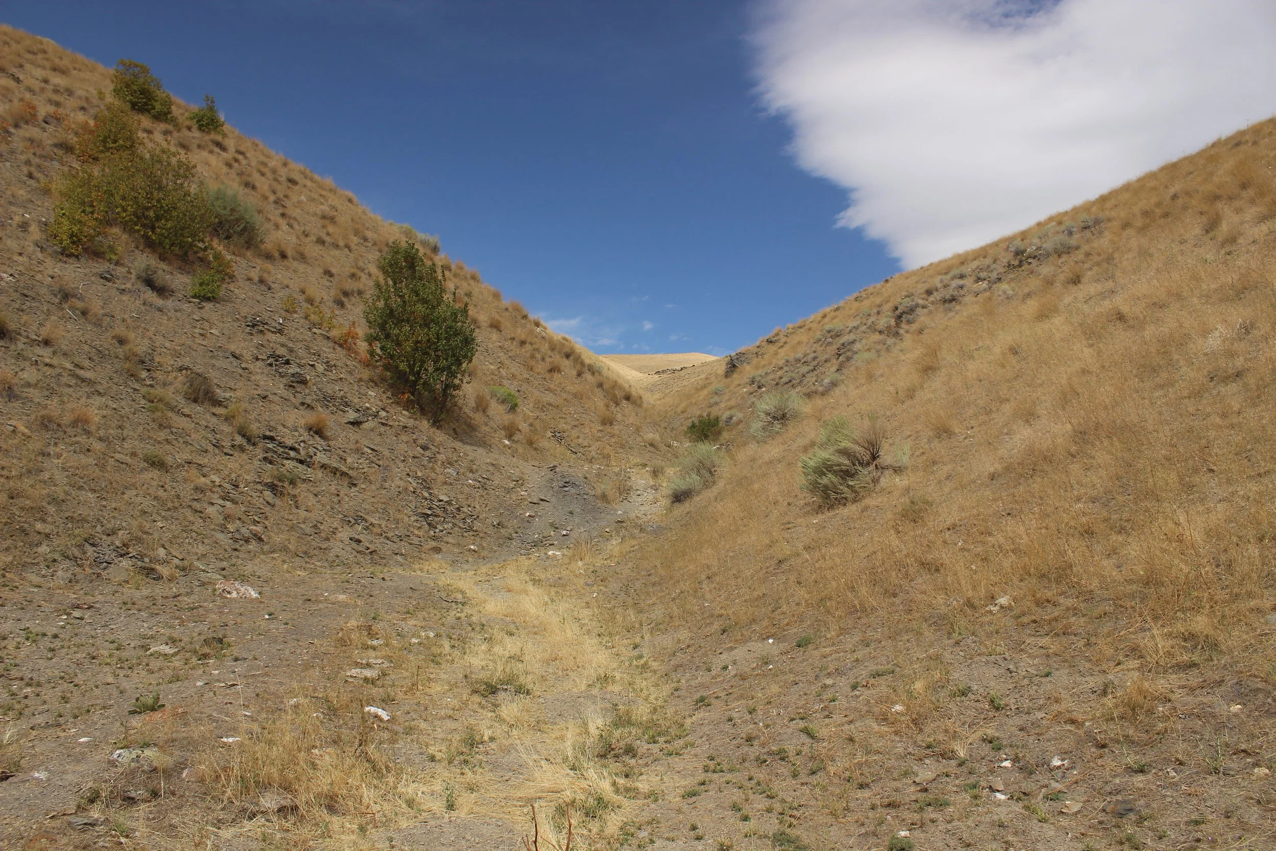 A dry, barren valley between two brown, grassy hills with sparse green bushes and small rocks scattered across the ground, under a partly cloudy blue sky.