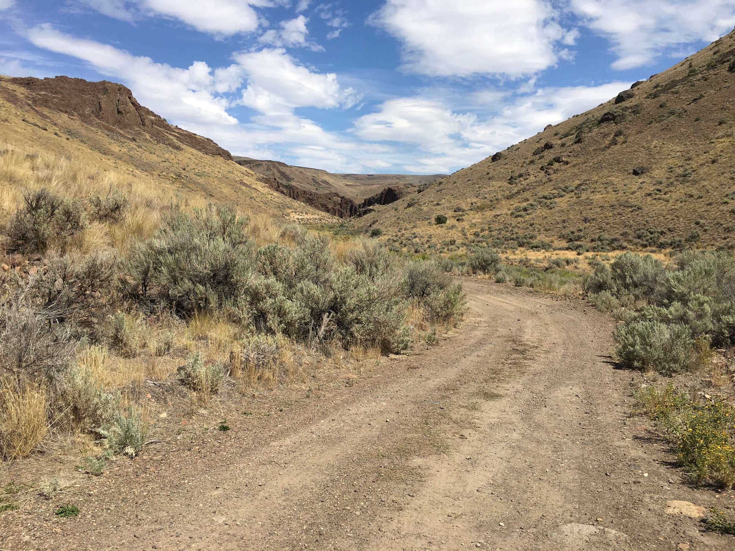A dirt trail running through a dry landscape with hills on each side and a partly cloudy sky overhead.