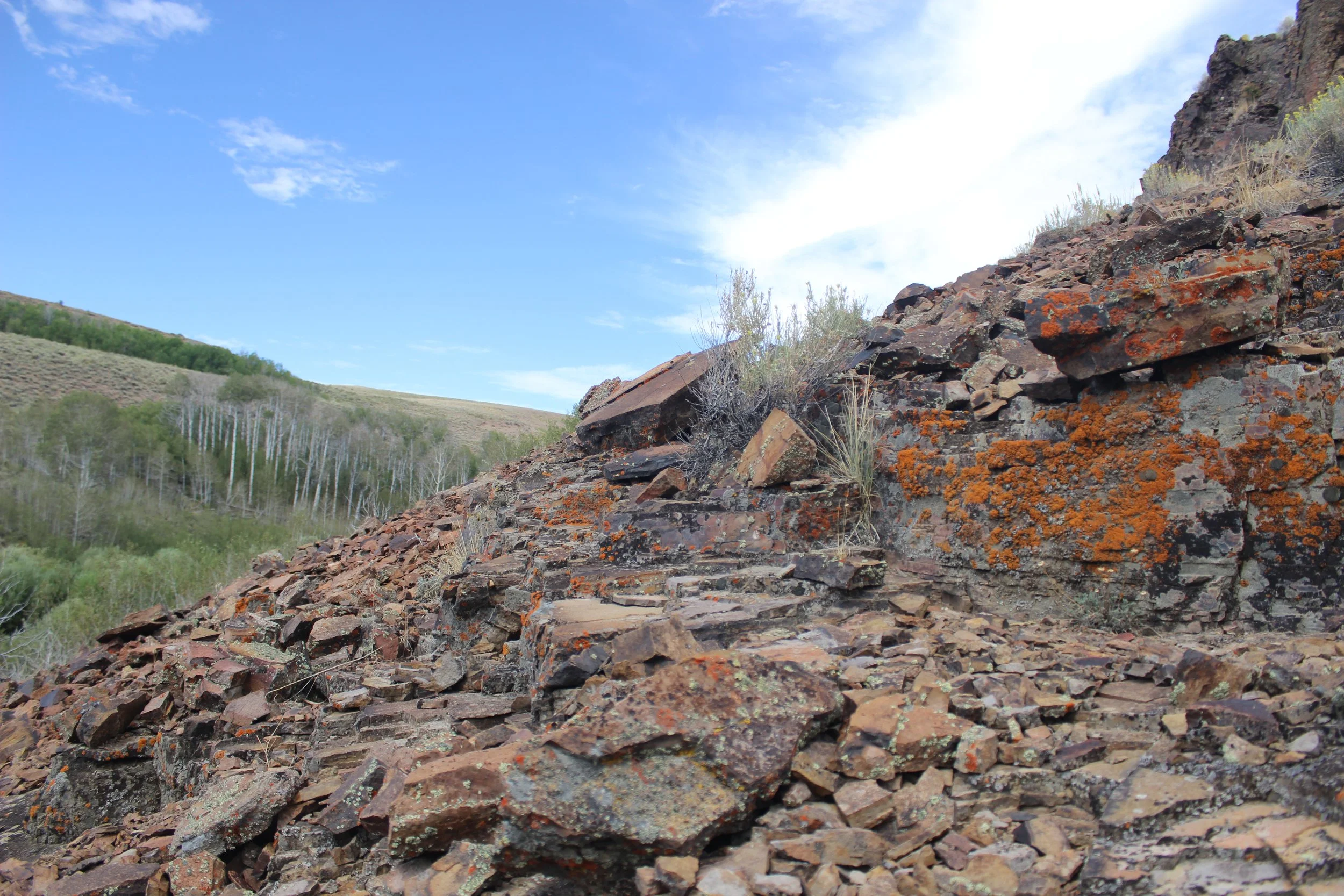 Close-up view of a rocky hillside with reddish-brown rocks and sparse vegetation, with a background of green trees and a bright blue sky with some clouds.