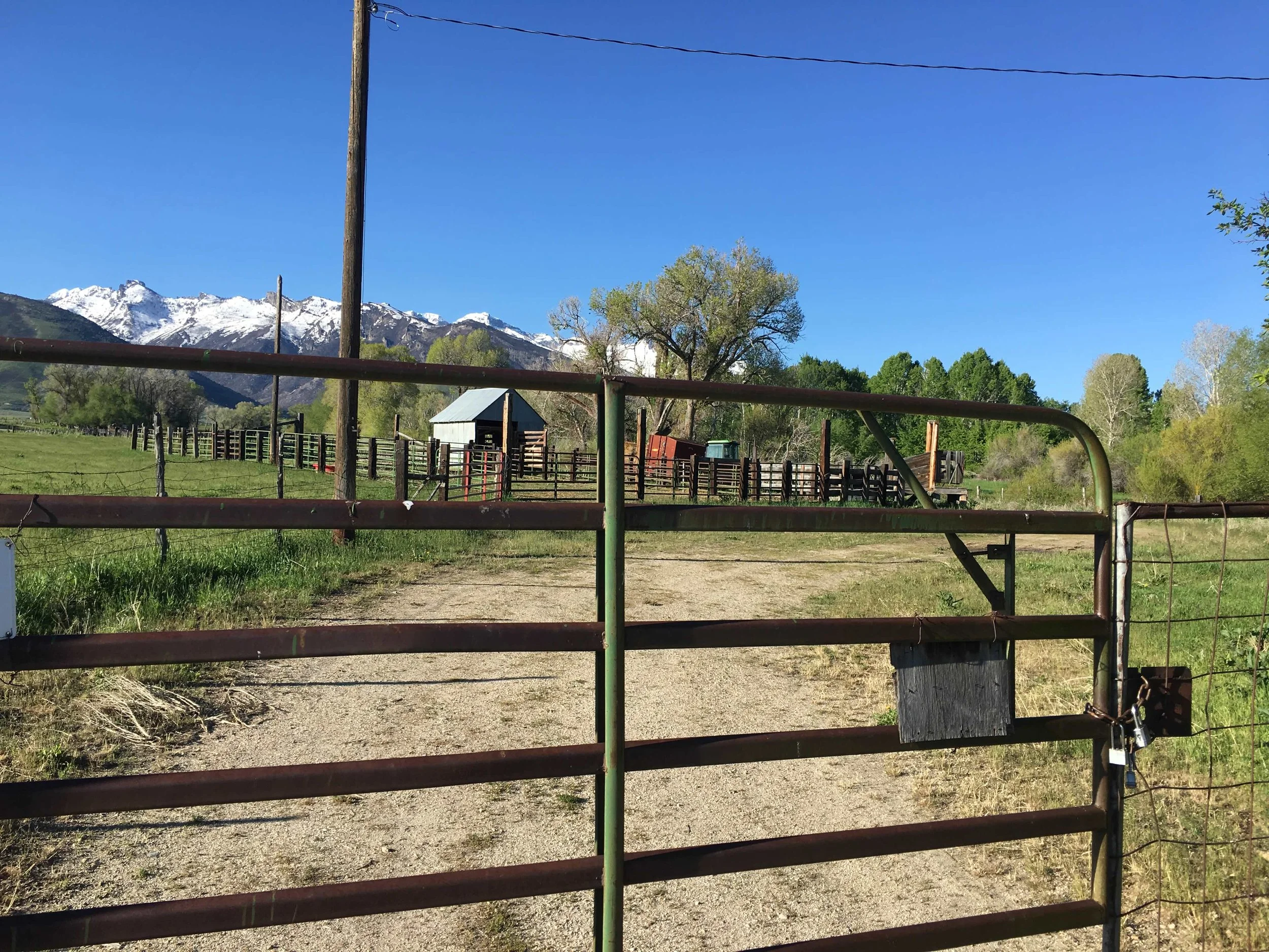 A rural farm scene with a metal gate, grassy field, wooden fences, trees, and a small barn, with snow-capped mountains in the background under a clear blue sky.