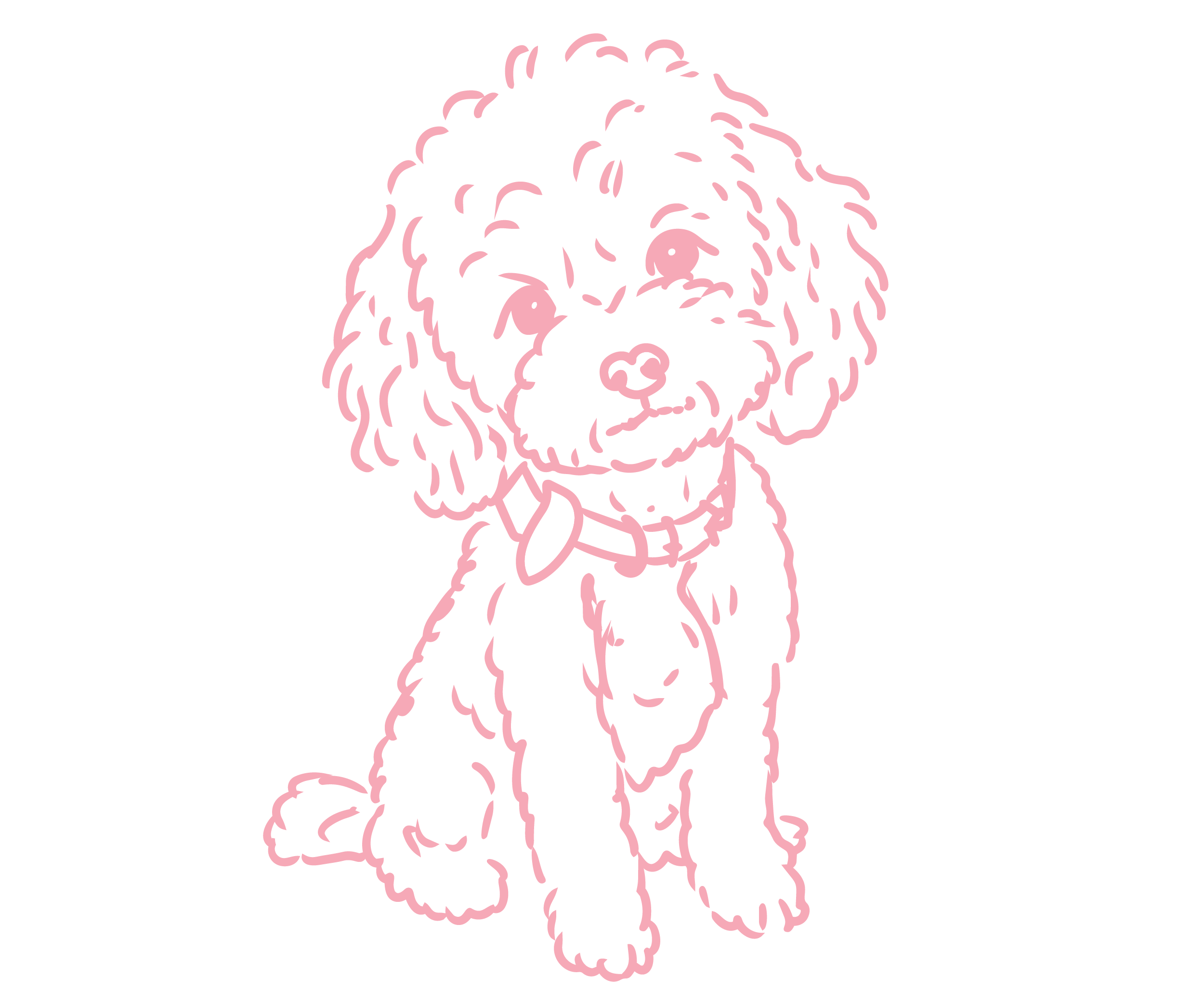 Outline drawing of a dog with curly fur, standing and facing forward, on a black background.