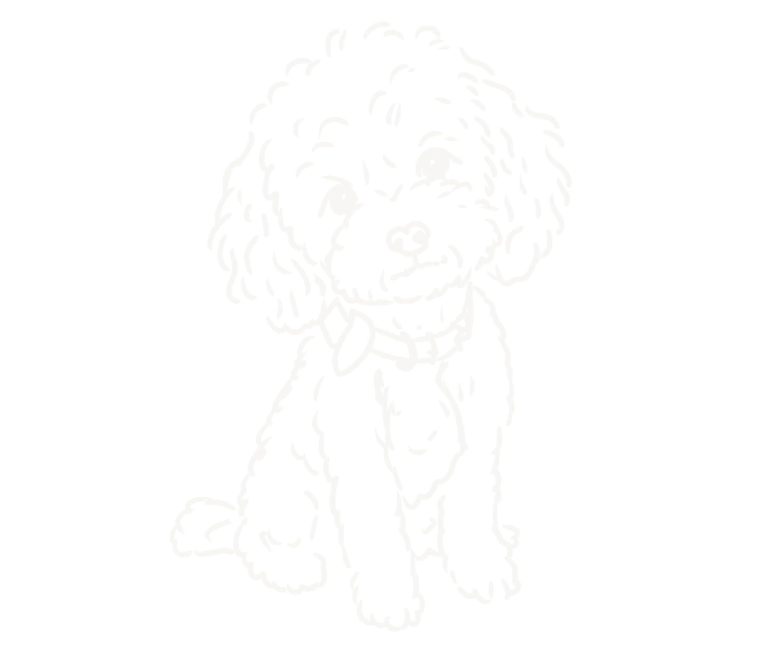 Line drawing of a poodle dog with curly fur, standing facing forward against a black background.