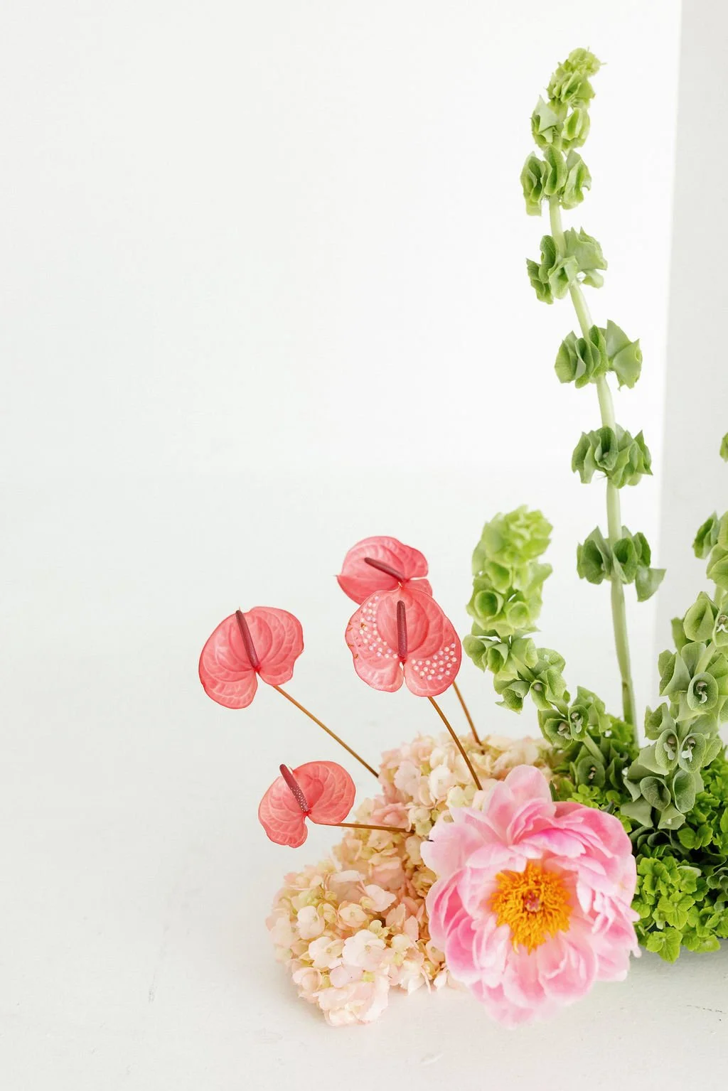 Arrangement of pink and green flowers against a white background.