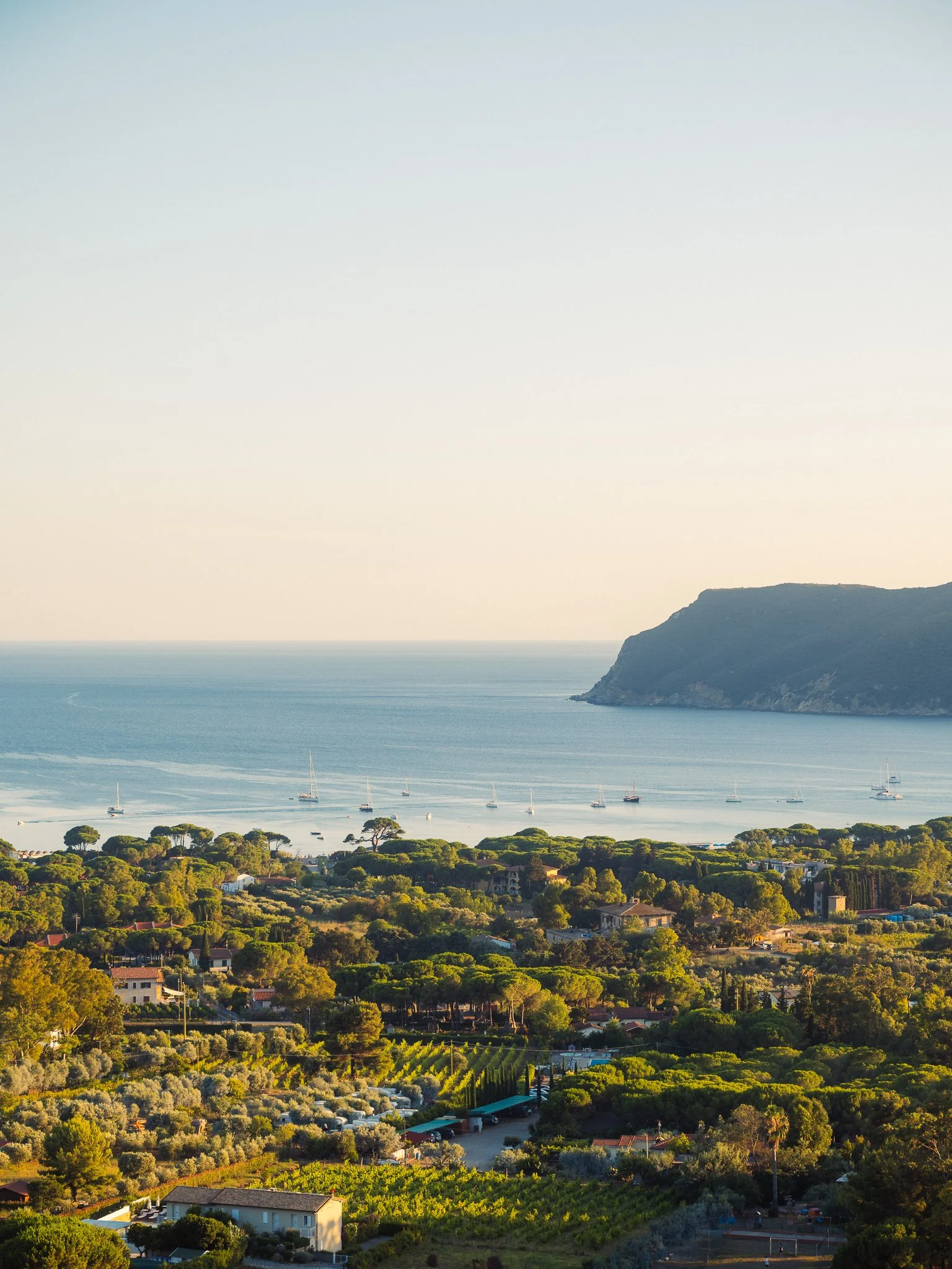 A scenic coastal landscape with a hilly shoreline, sailboats in the water, and a green residential area with houses and trees in the foreground.