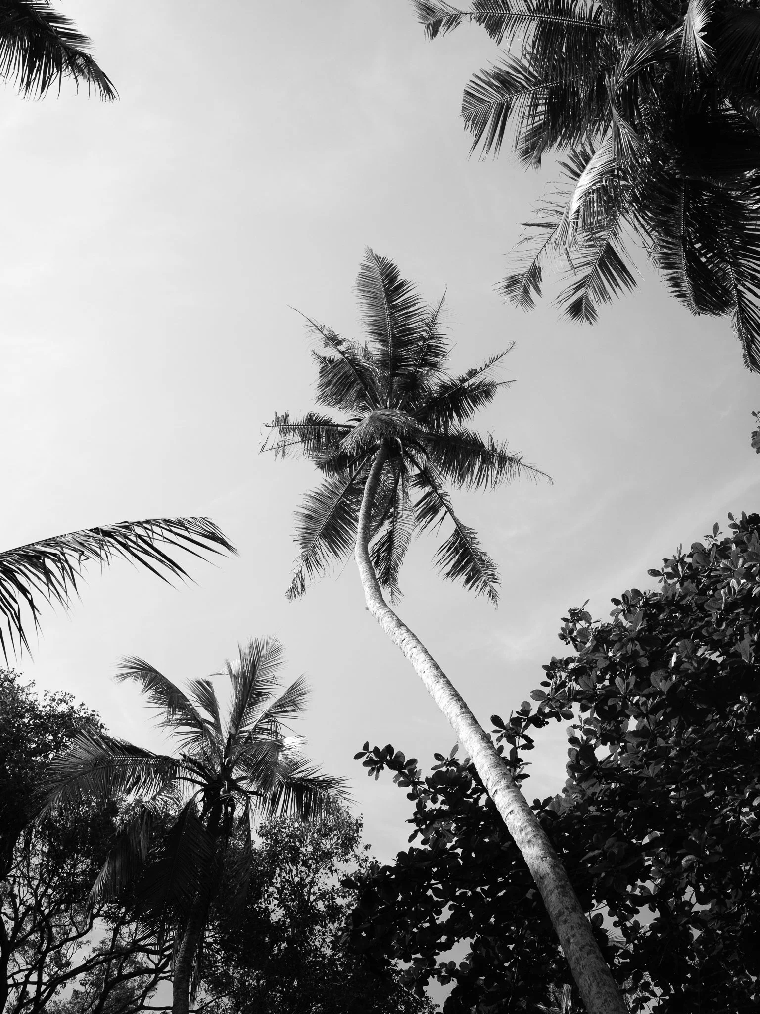 DSCF2889.jpg