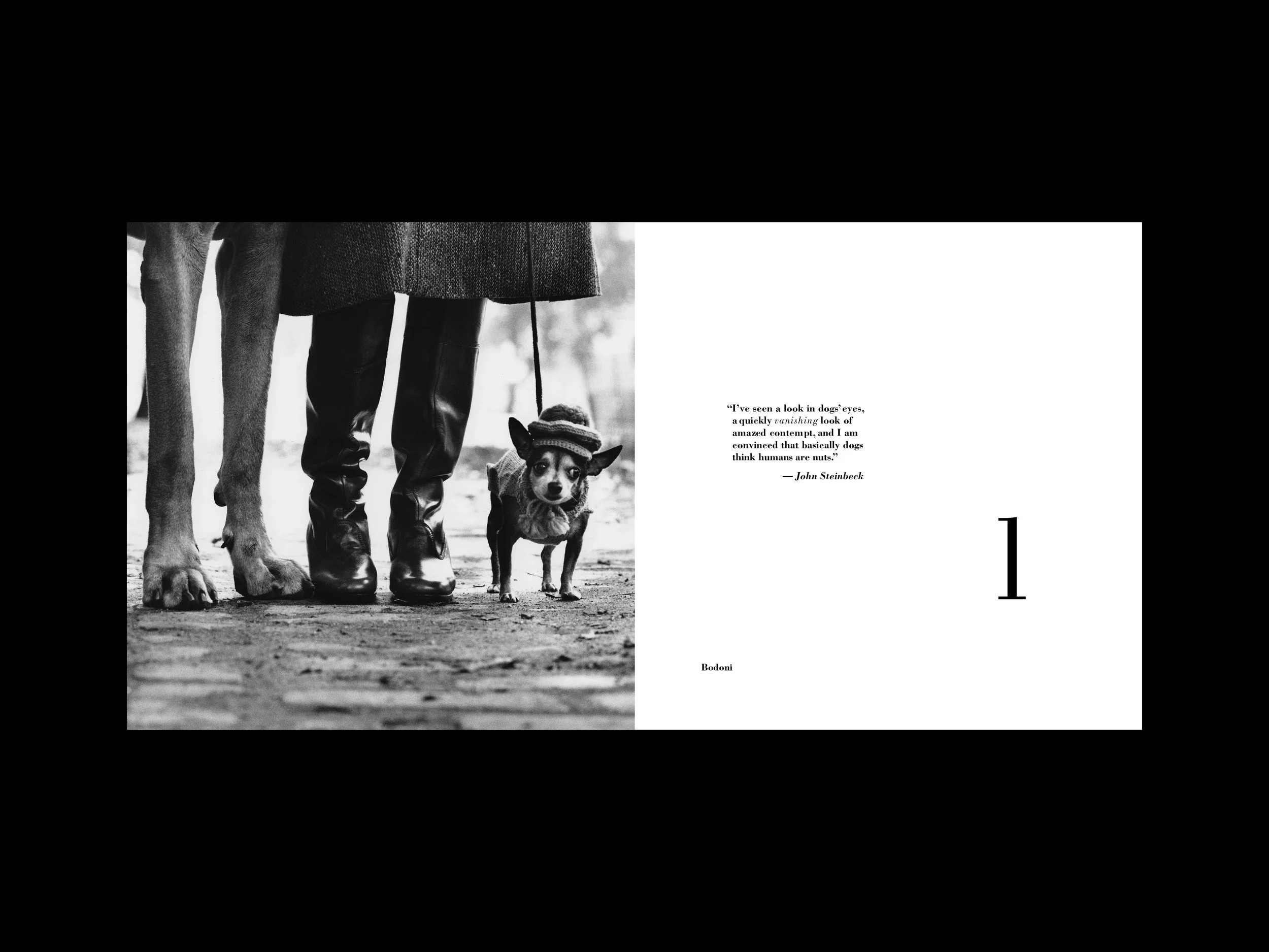 Gordon_Grace_Type+Image.jpg