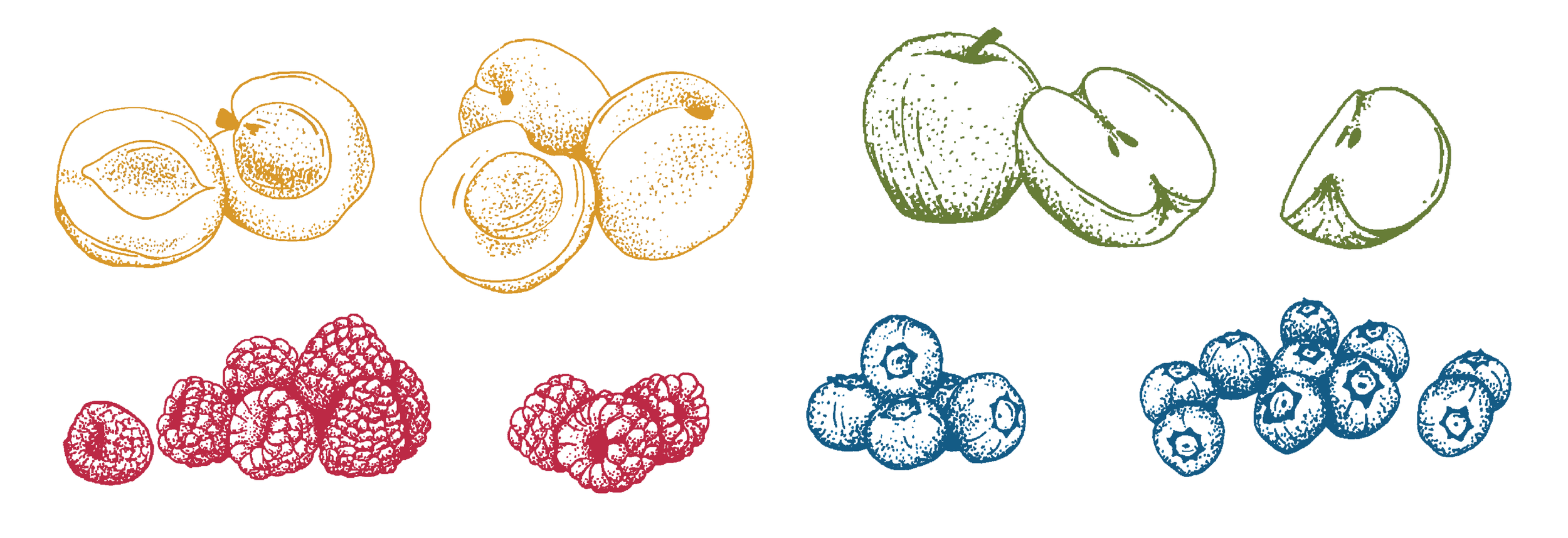 Illustrations-03.png