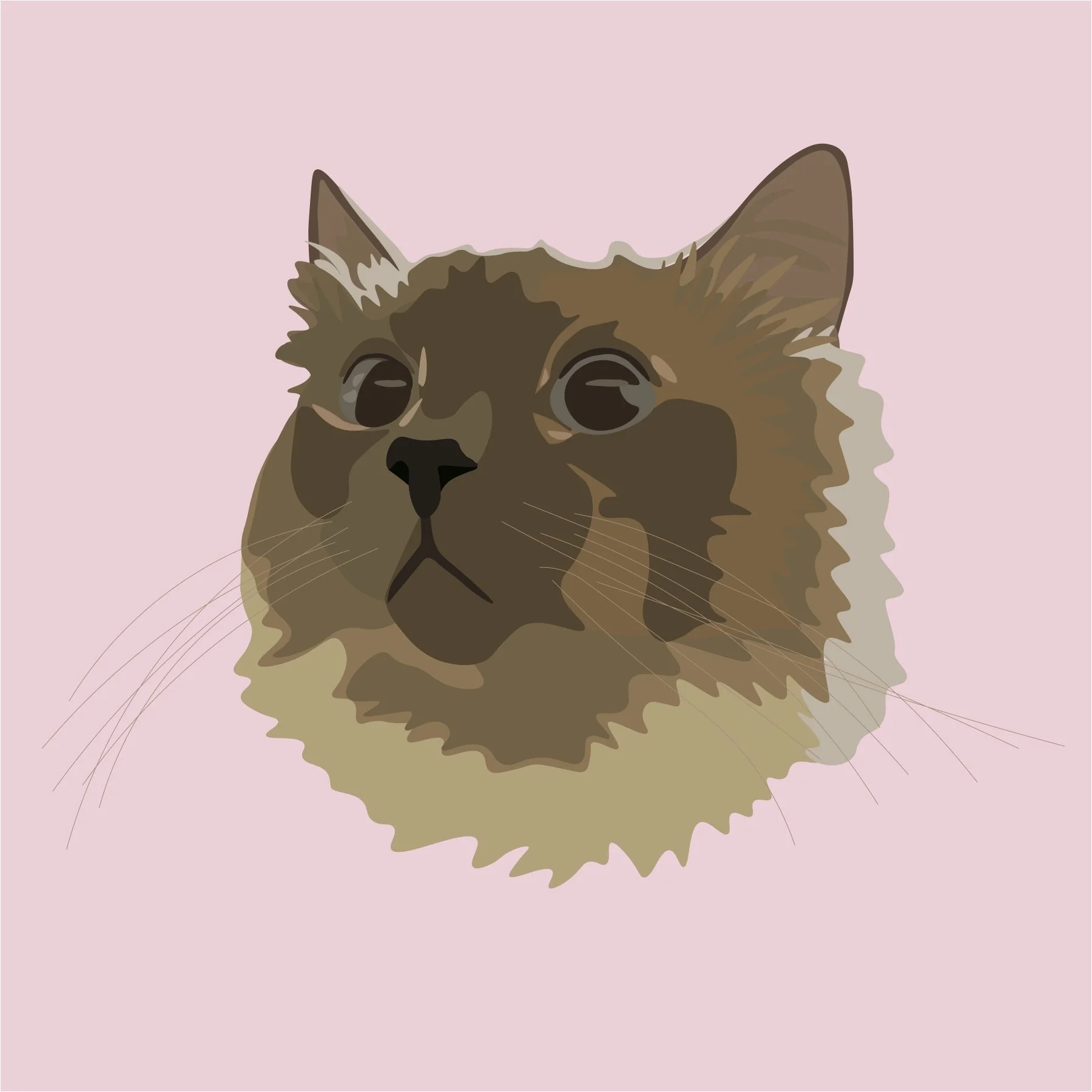 bella2.jpg