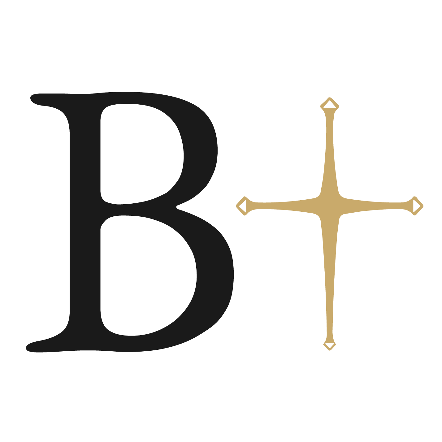 Beatitude Project