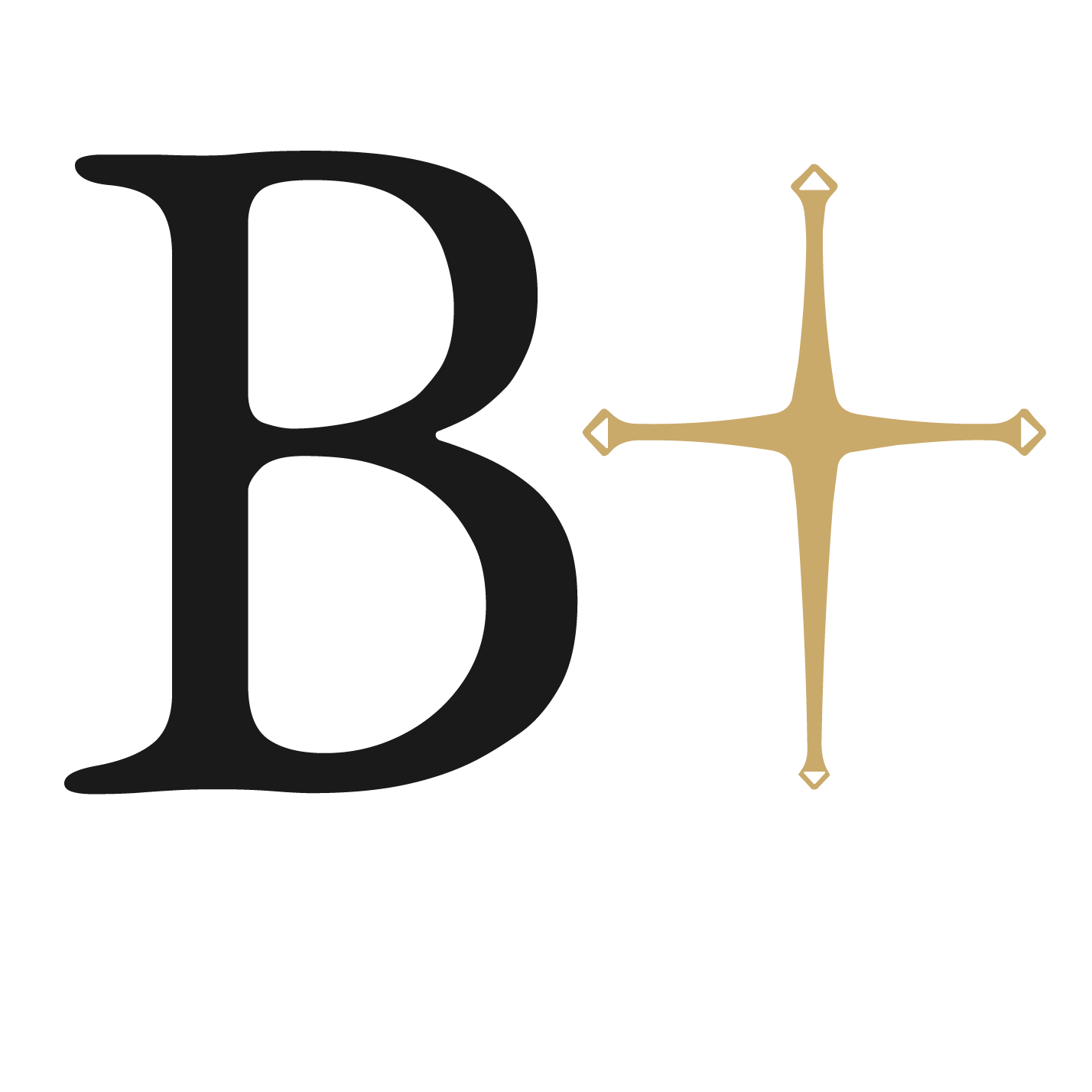 Beatitude Project