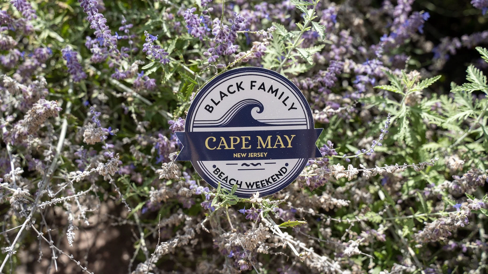 BLK Family Beach Family Registration