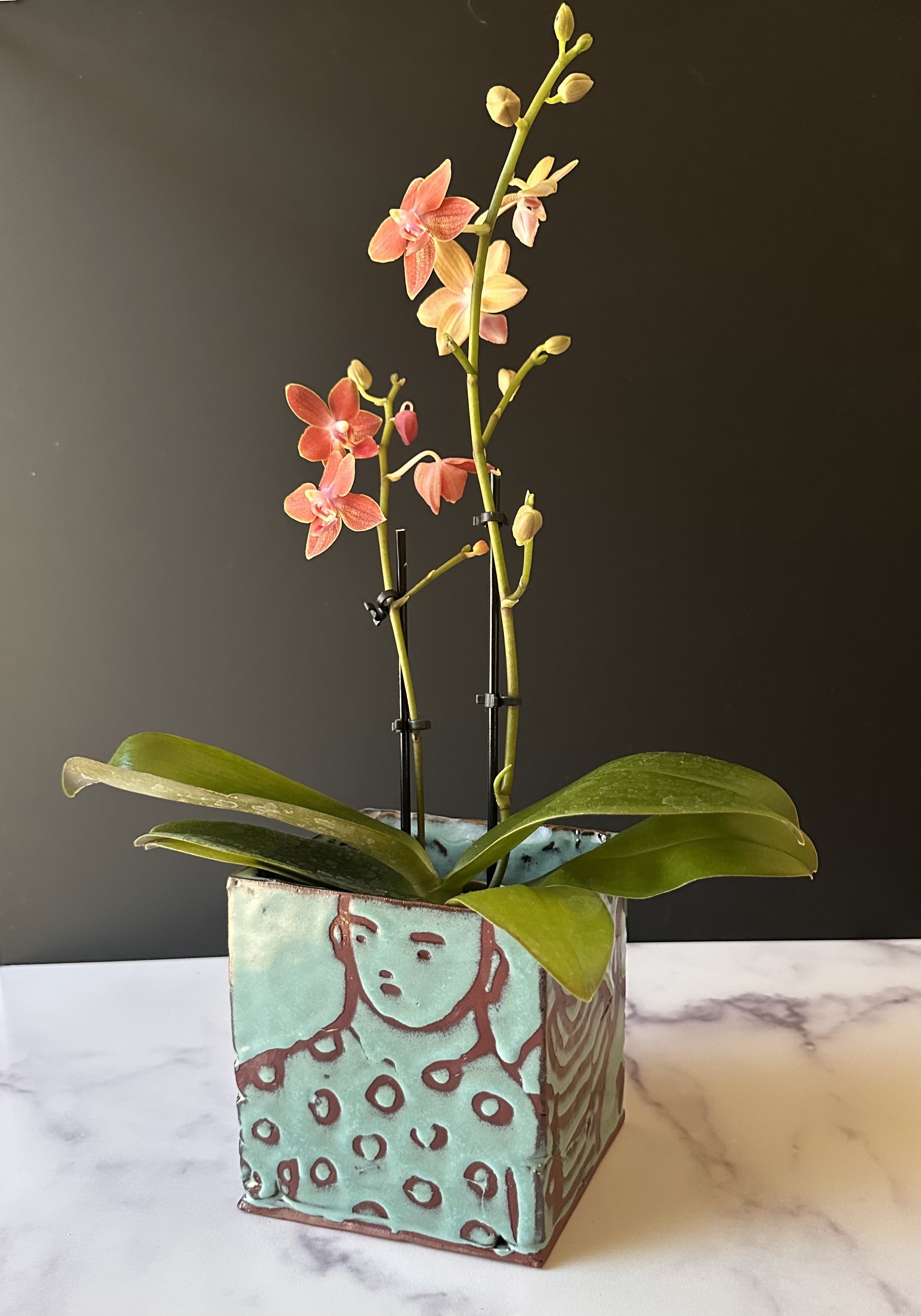 Turquoise & Tera Red Artistic Planter Box