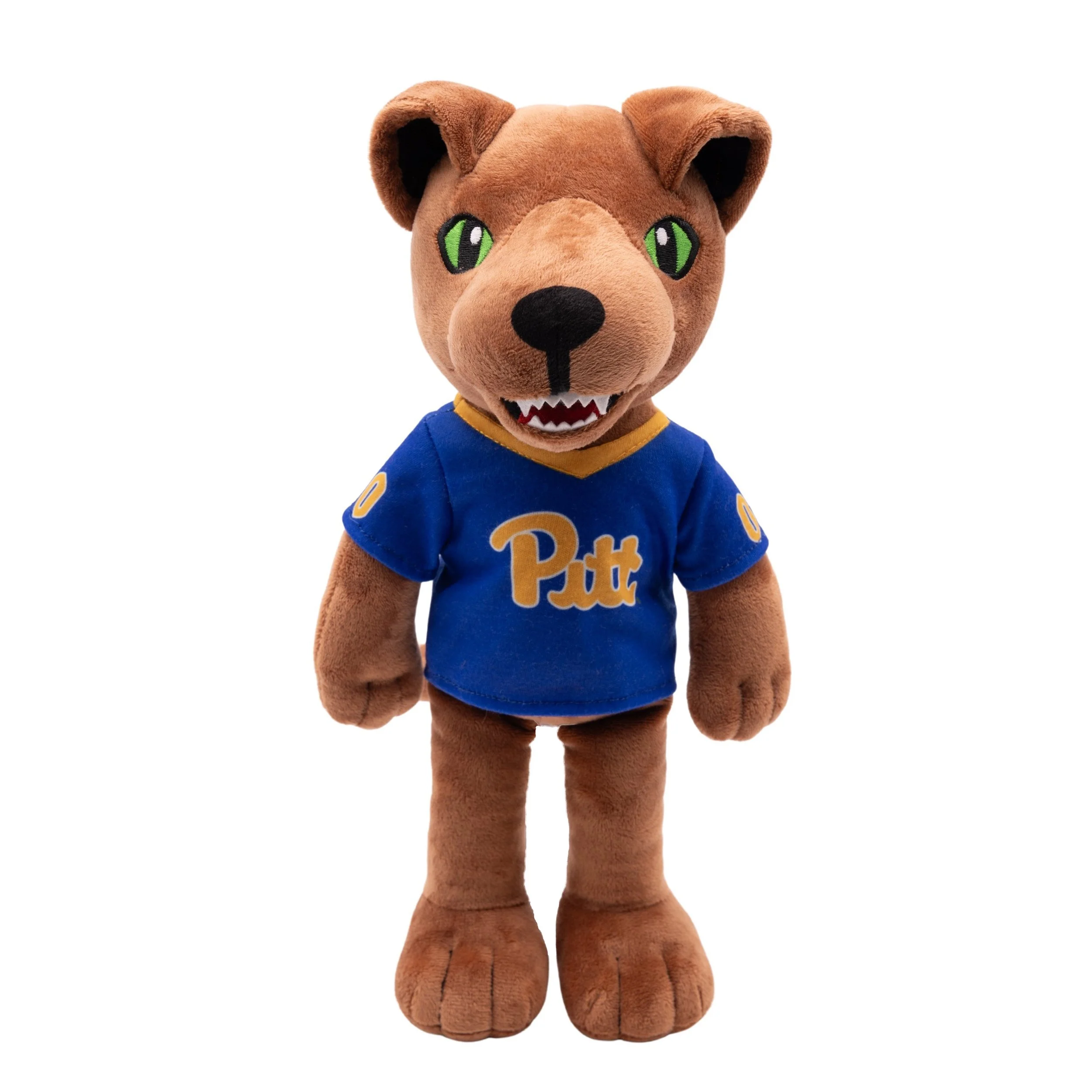 PITT Rag Doll -1.jpg