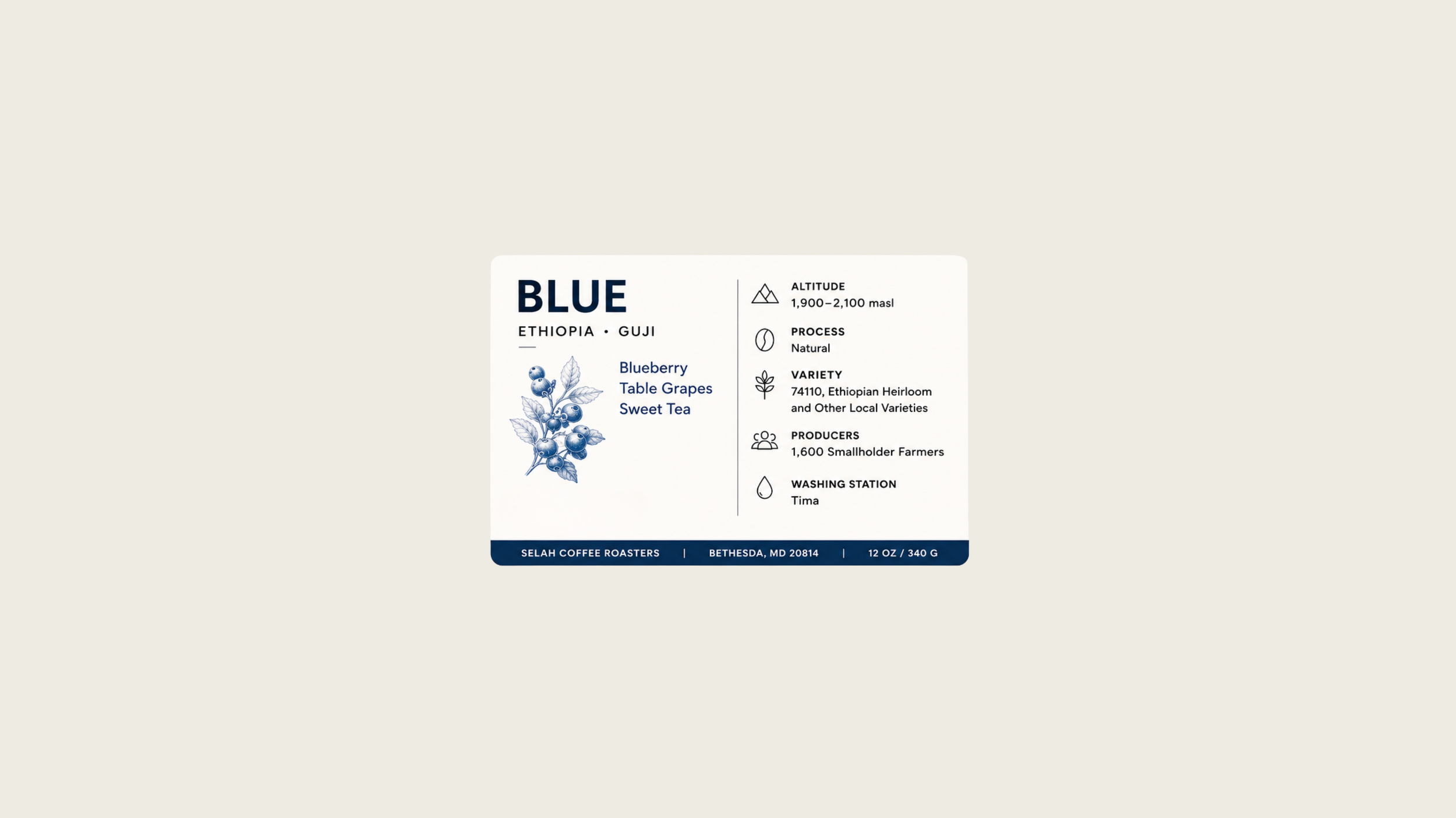 Untitled design (9).png
