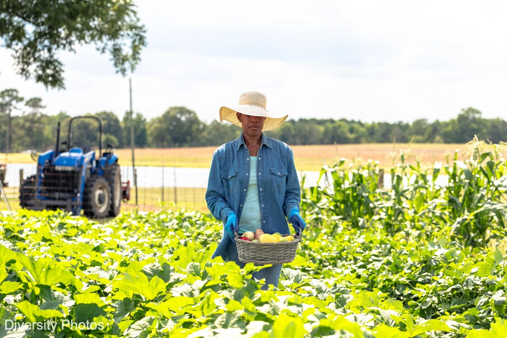 DiversityPhotos-Custom-Farm_Shoot-07032020-191-FINAL.jpg