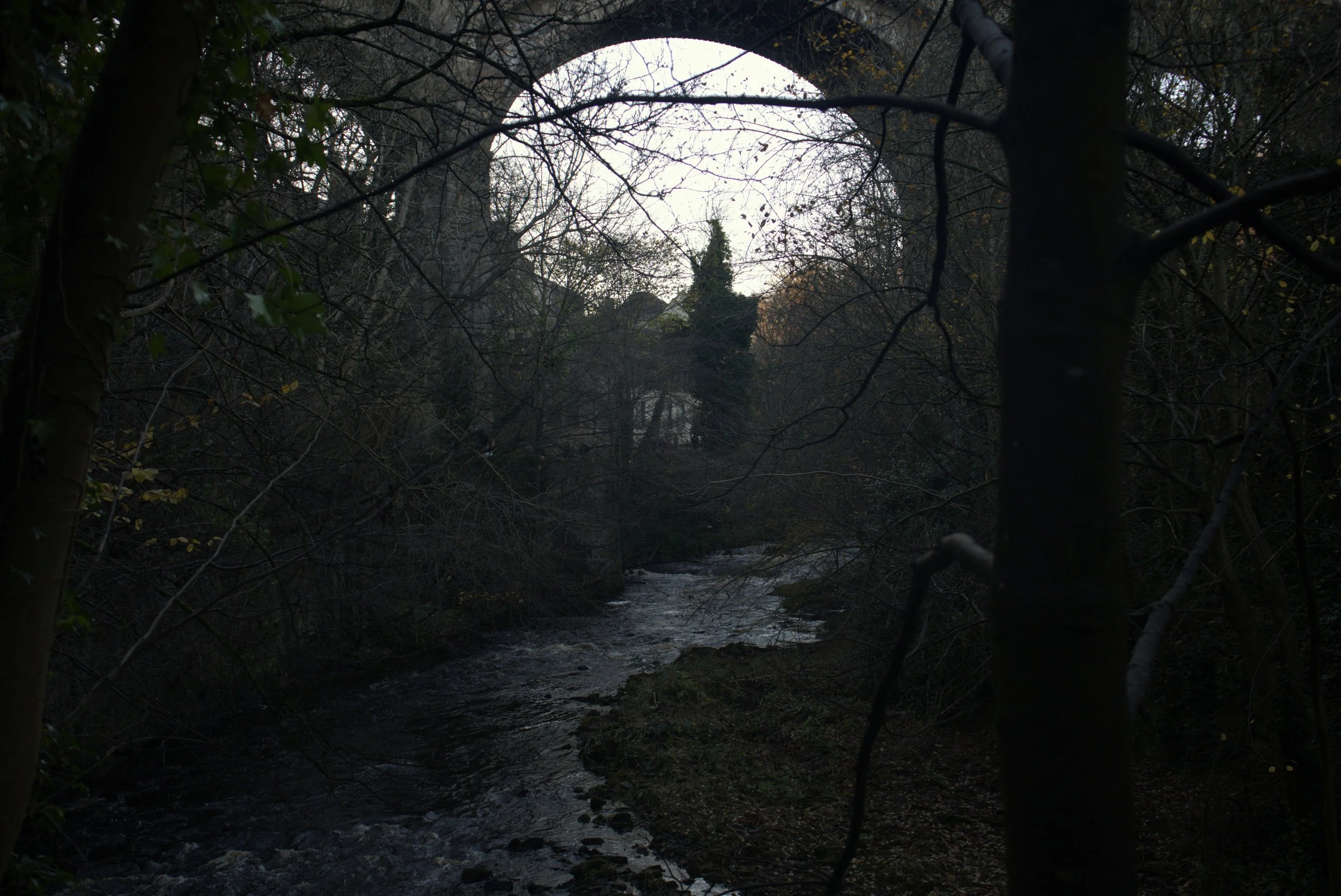 DSC00946.jpg