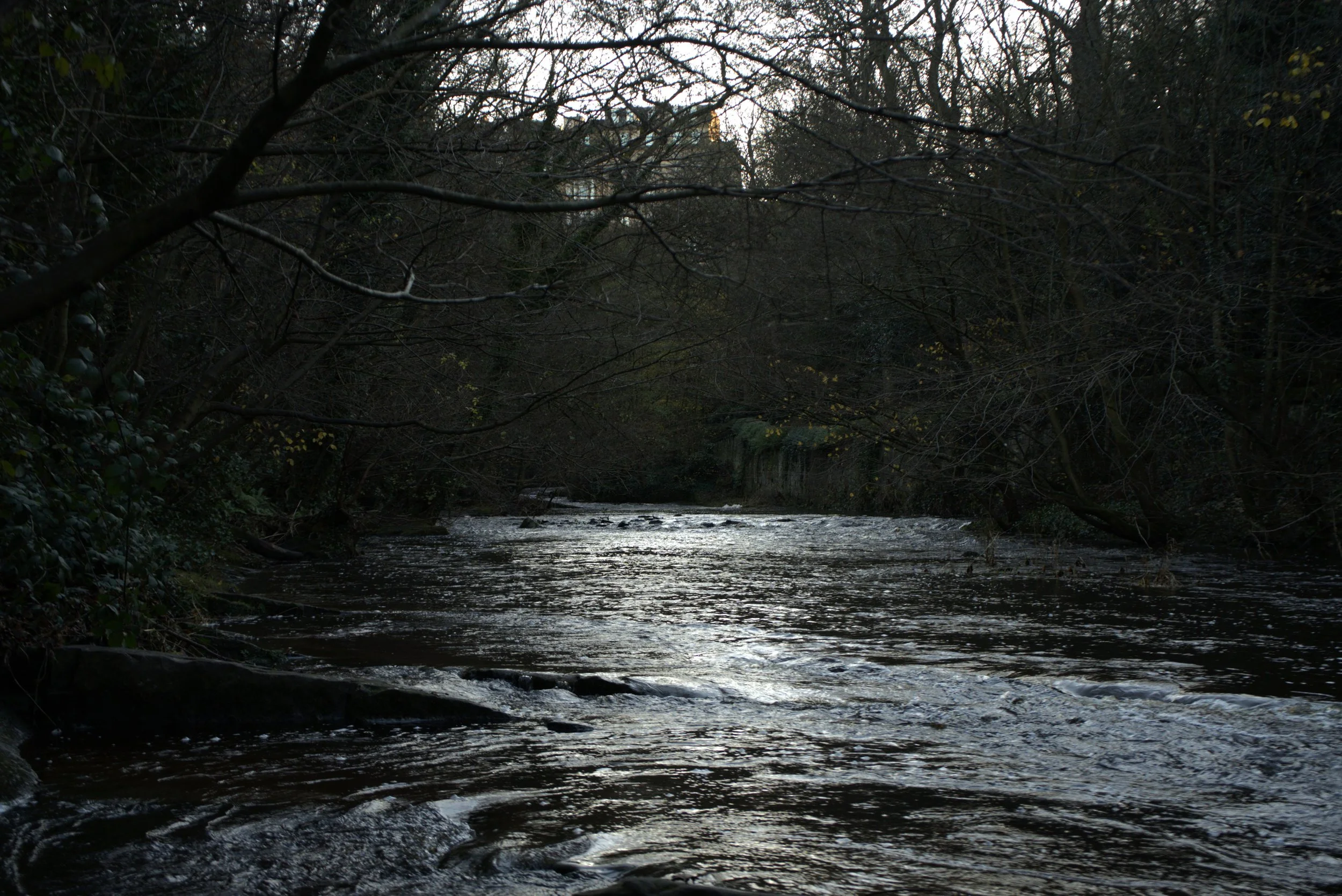 DSC00891.jpg