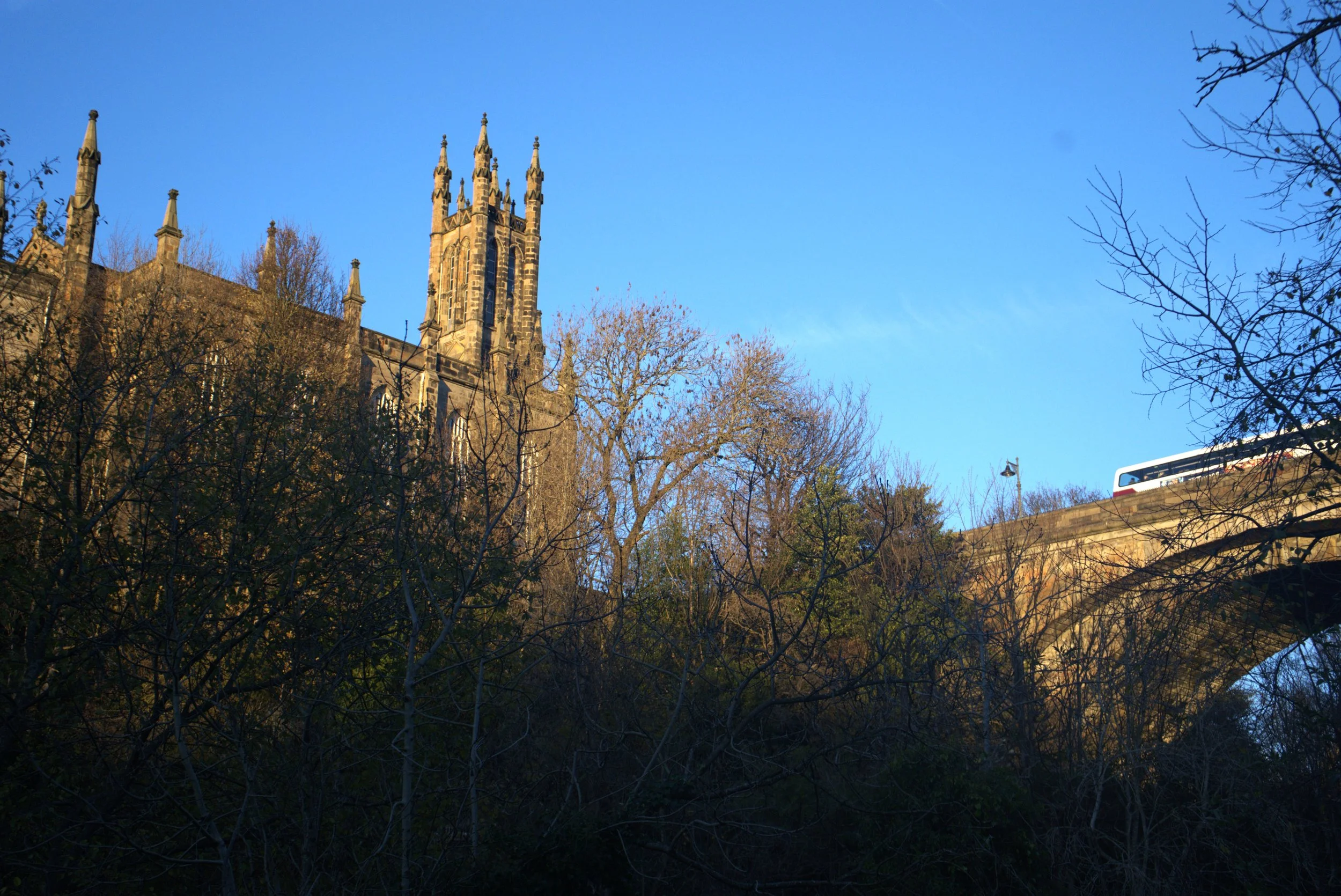 DSC00998.jpg