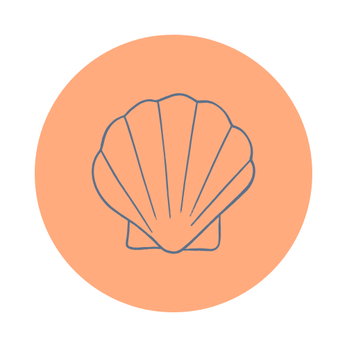 Line drawing of a seashell on an orange circular background.