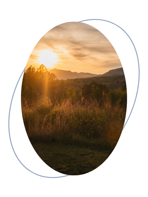 Sunset over a hilly landscape with trees and grassy fields.