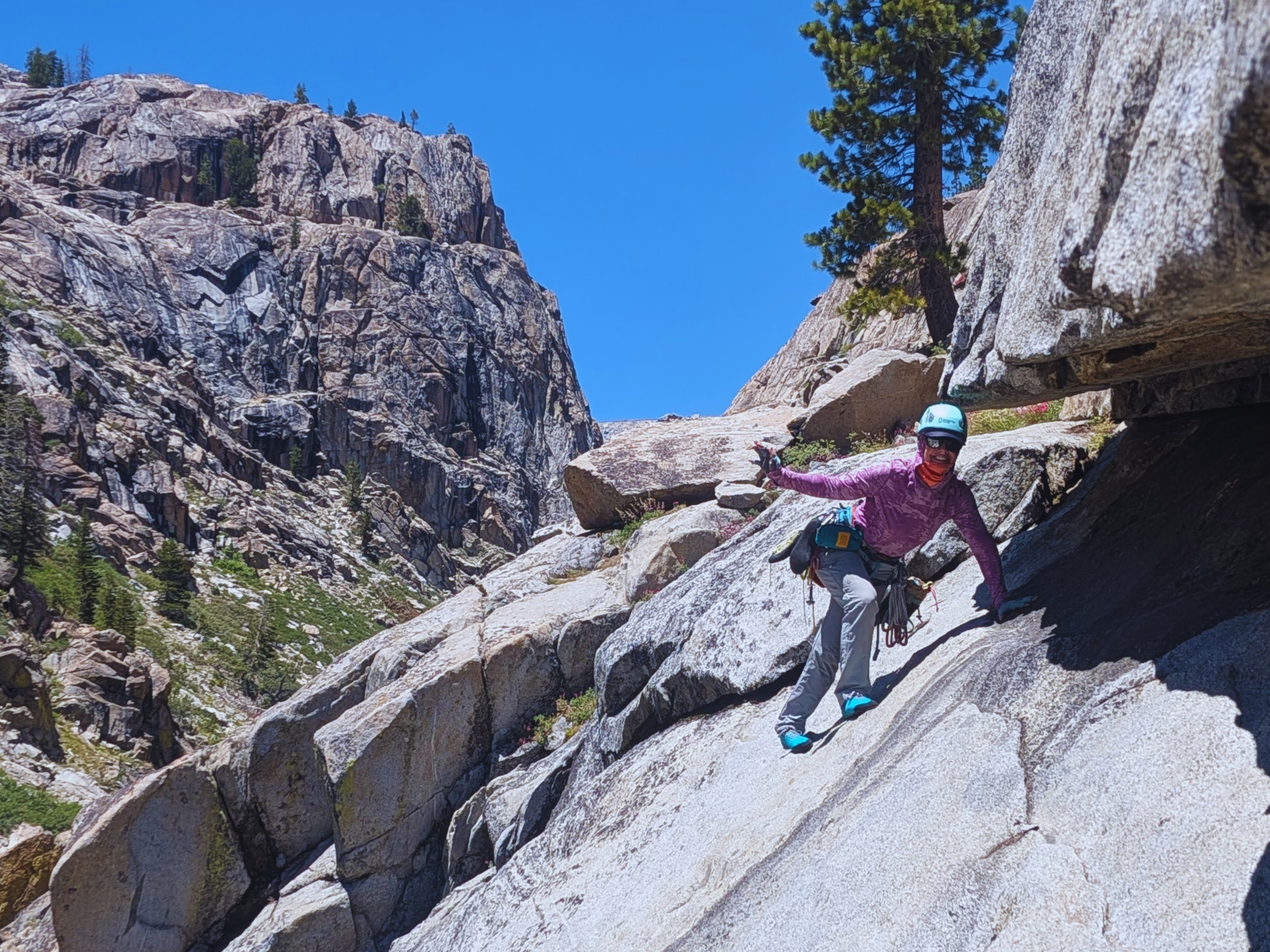 Person in purple jacket and helmet rock climbing on large sloped granite rock in a mountainous landscape with pine trees and blue sky.