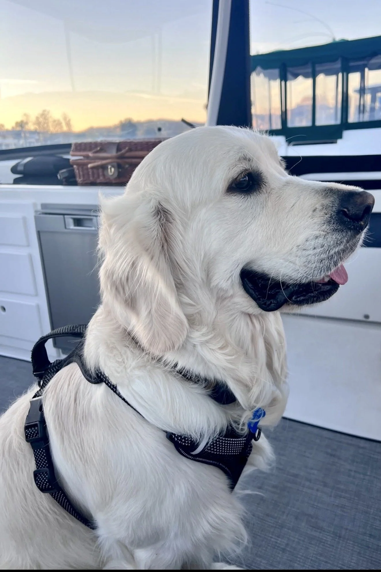Entry #23 - “Jack” by Bob Weisz