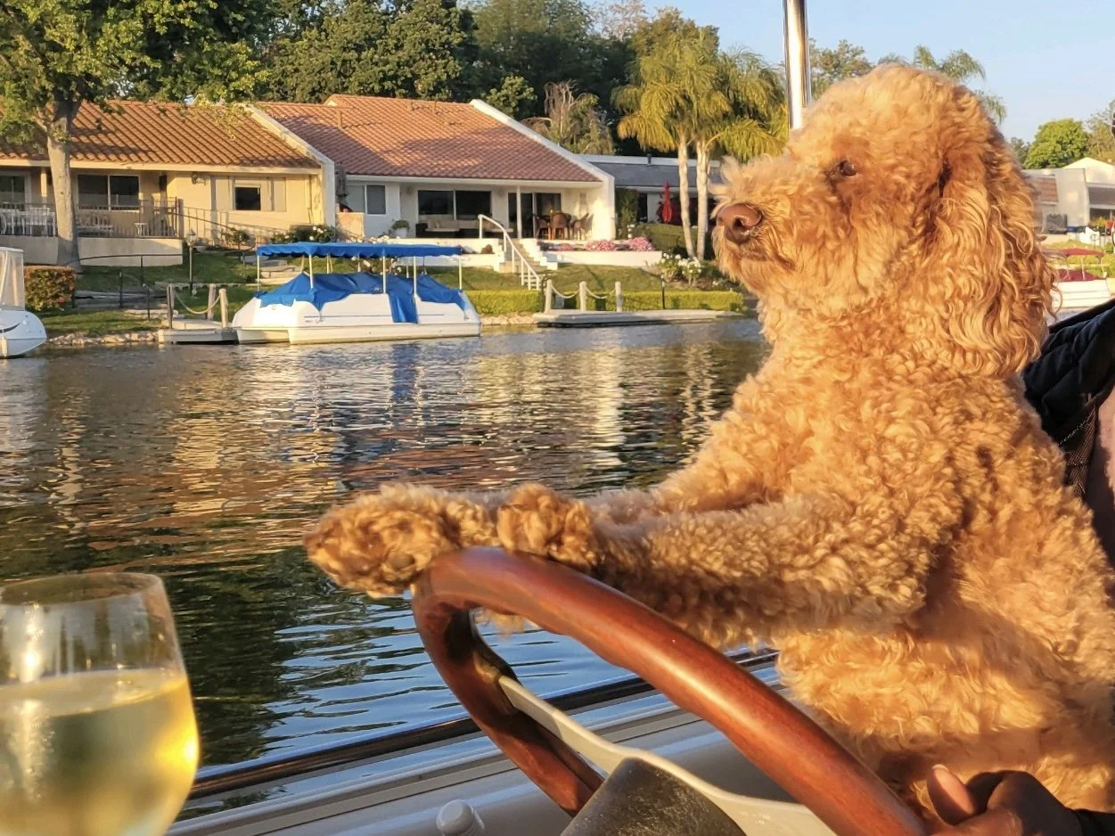 Entry # 11 - "Captain Cognac" by McKeel and Dave
