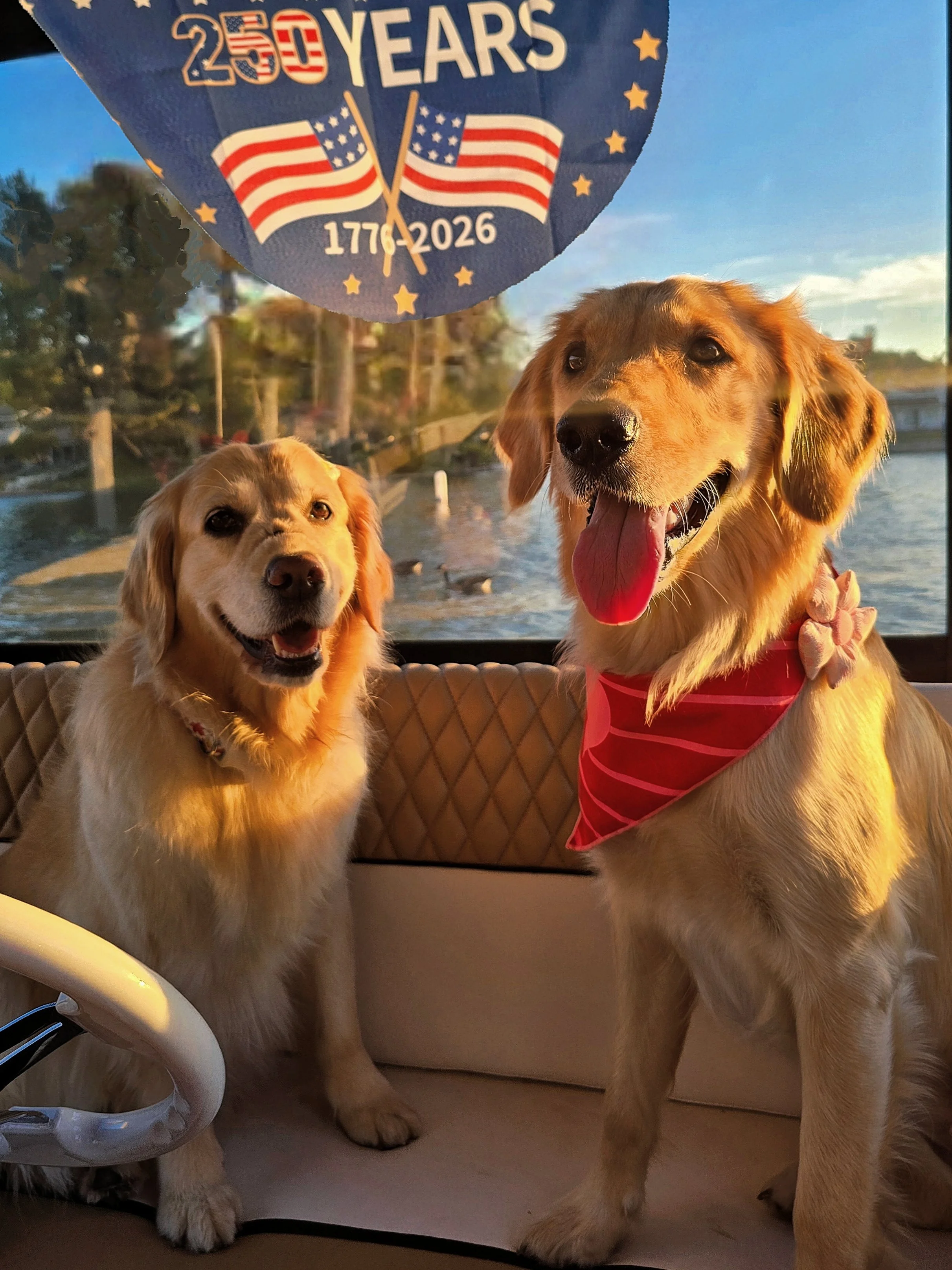 Entry #15 - "Two Golden Girls" by the Landry Family