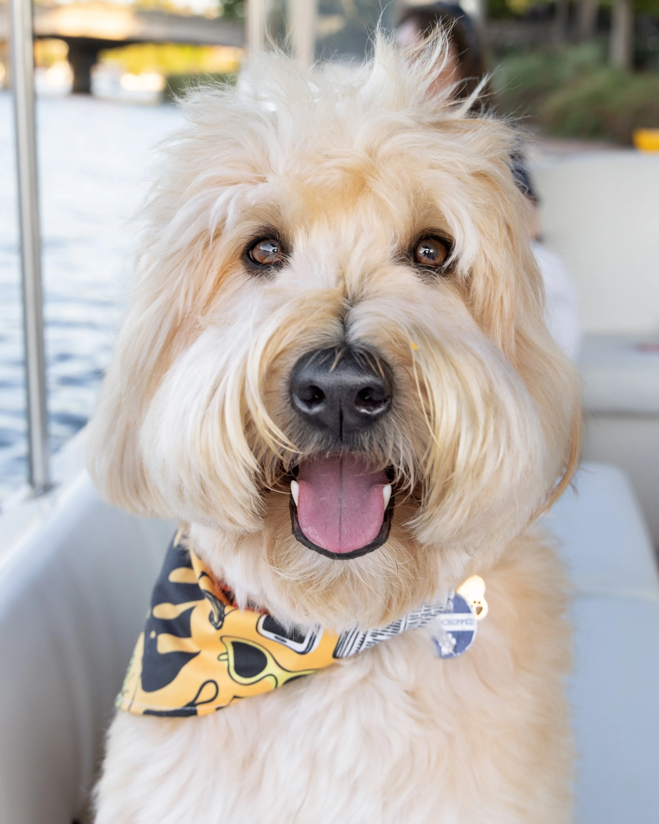 Entry #27 - "Fozzie Bear"
